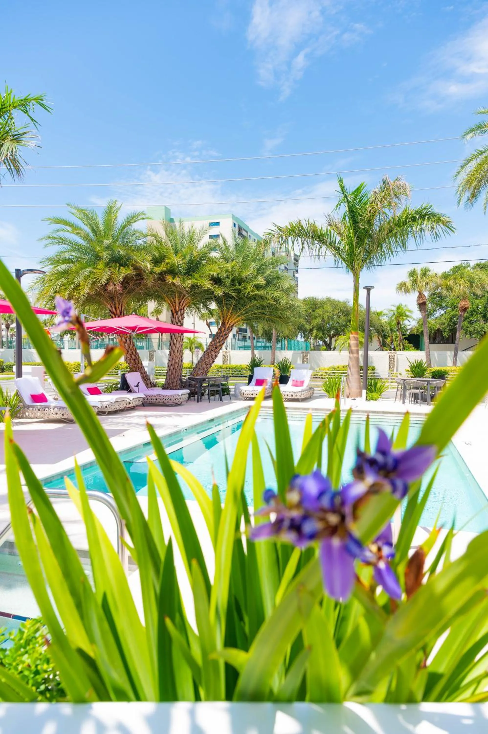 Swimming pool in The Saint Hotel