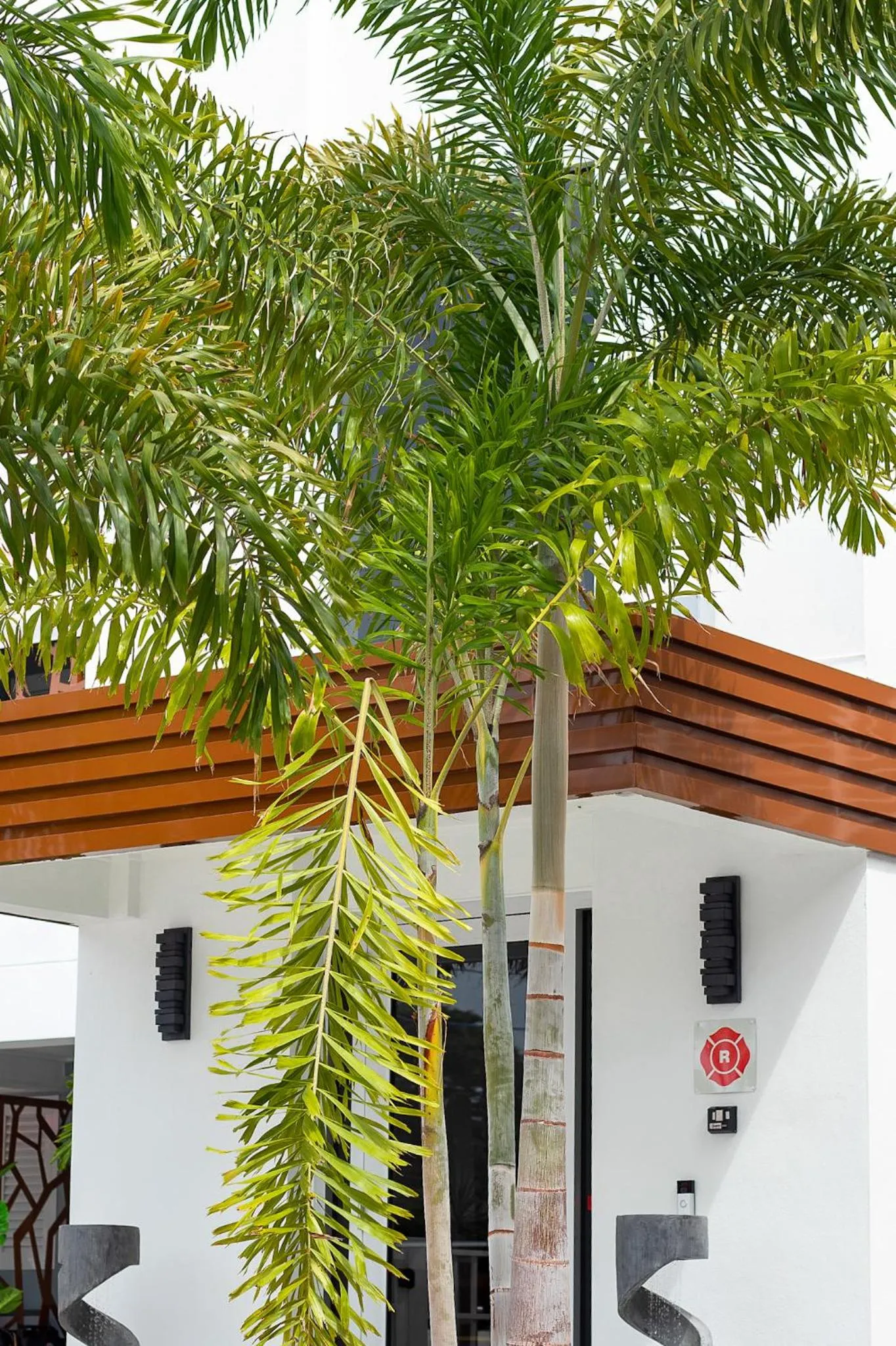 Property building in The Saint Hotel