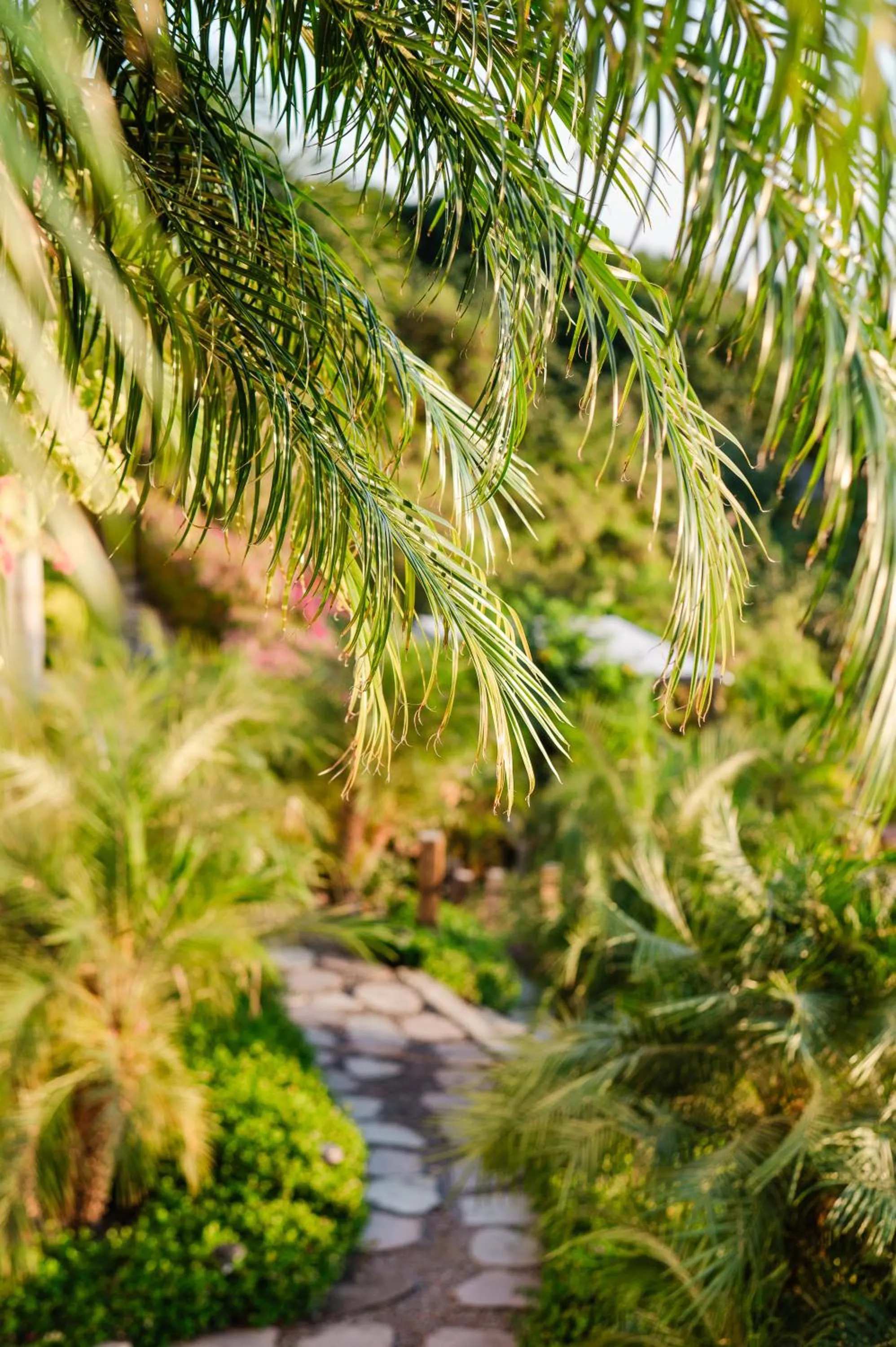 Garden in Sunset Reef St. Kitts