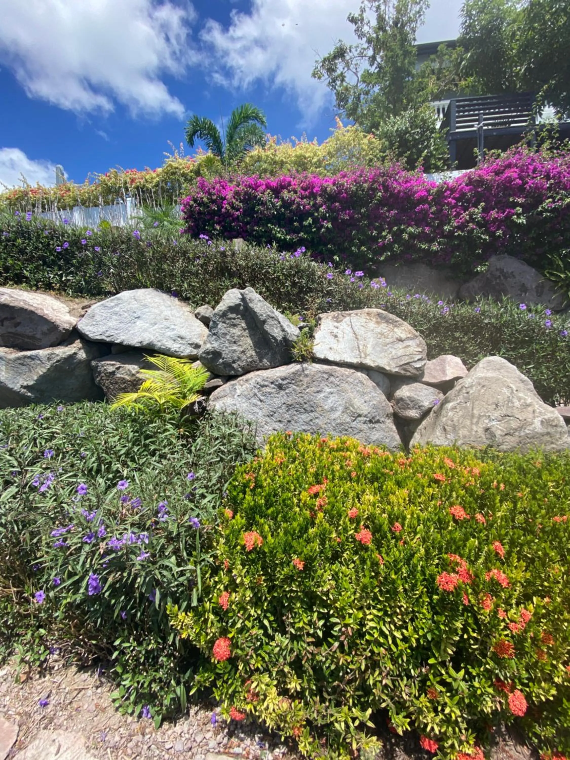 Garden in Sunset Reef St. Kitts