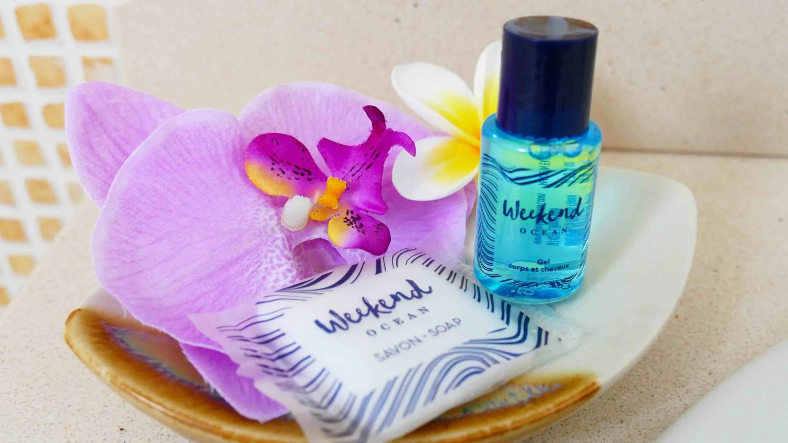 Decorative detail in Le Kerveguen