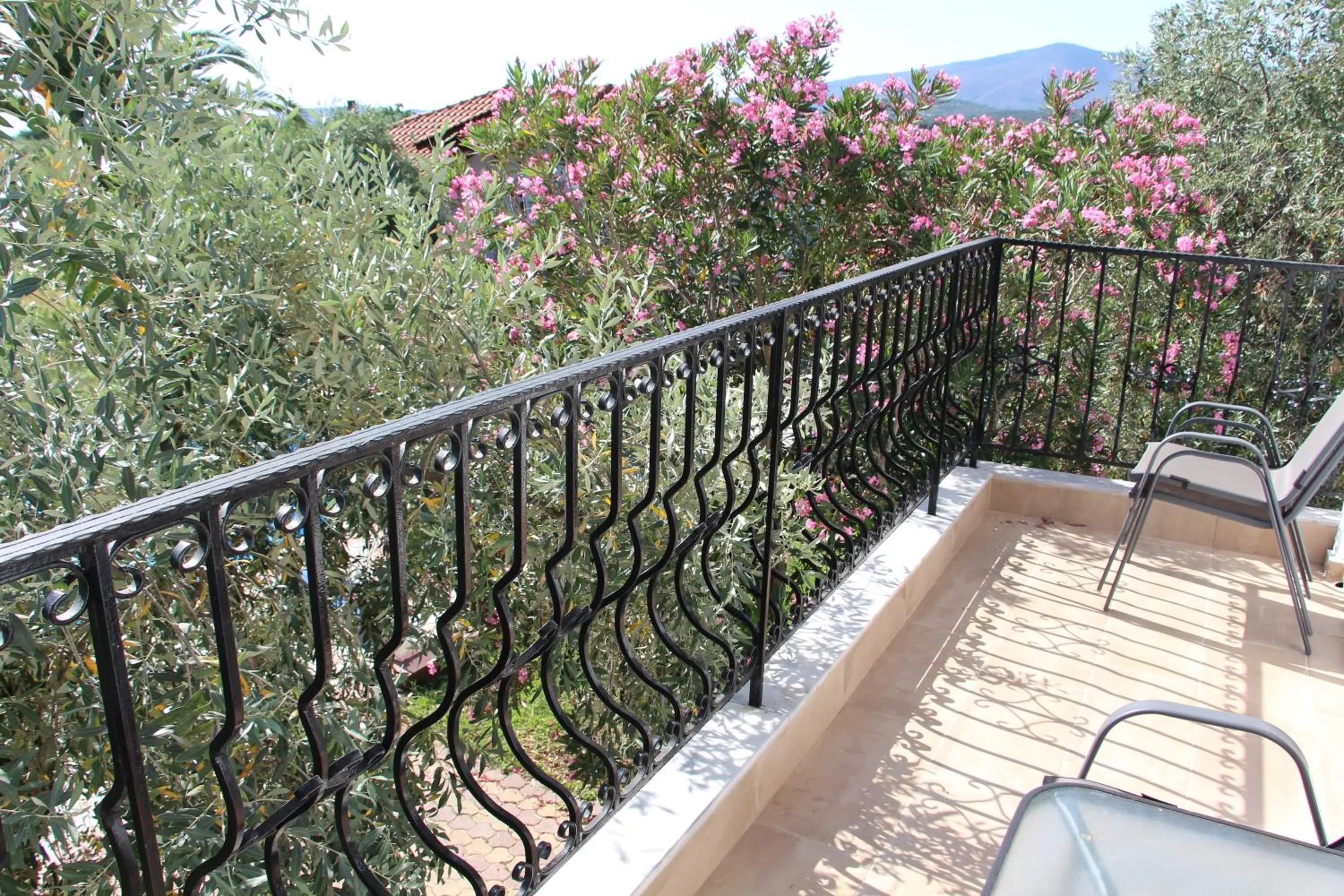 Natural landscape in VILLA IATROU