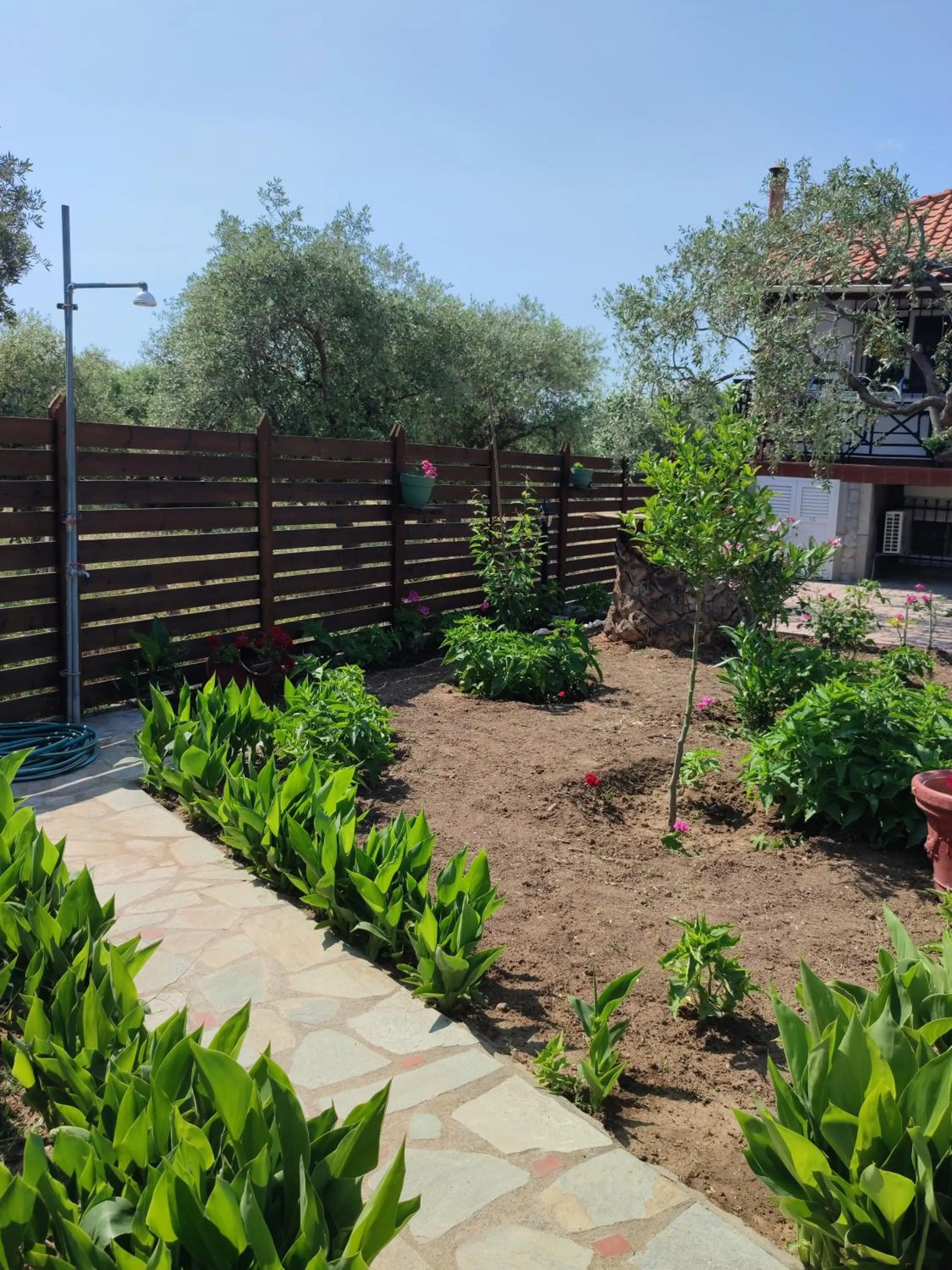 Garden in VILLA IATROU
