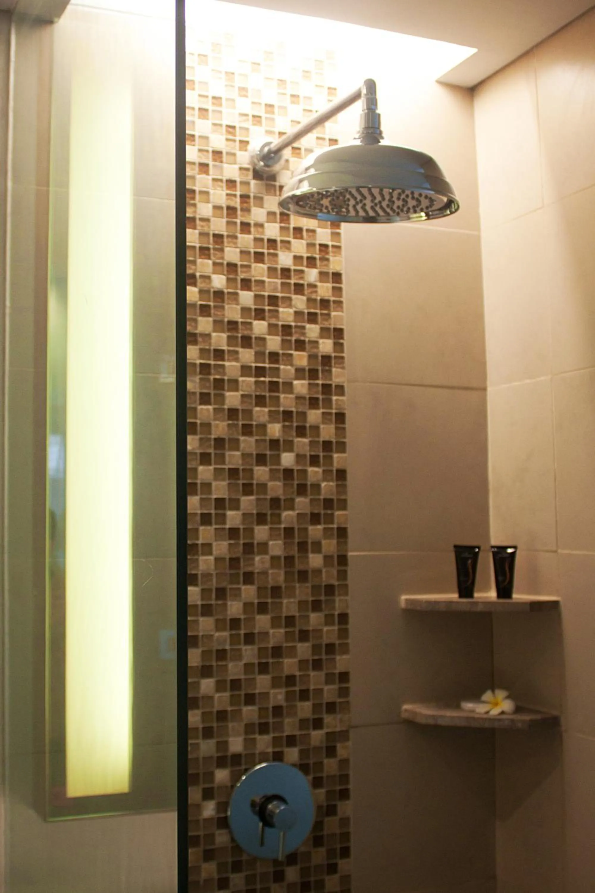 Shower in Sun Island Hotel & Spa Legian