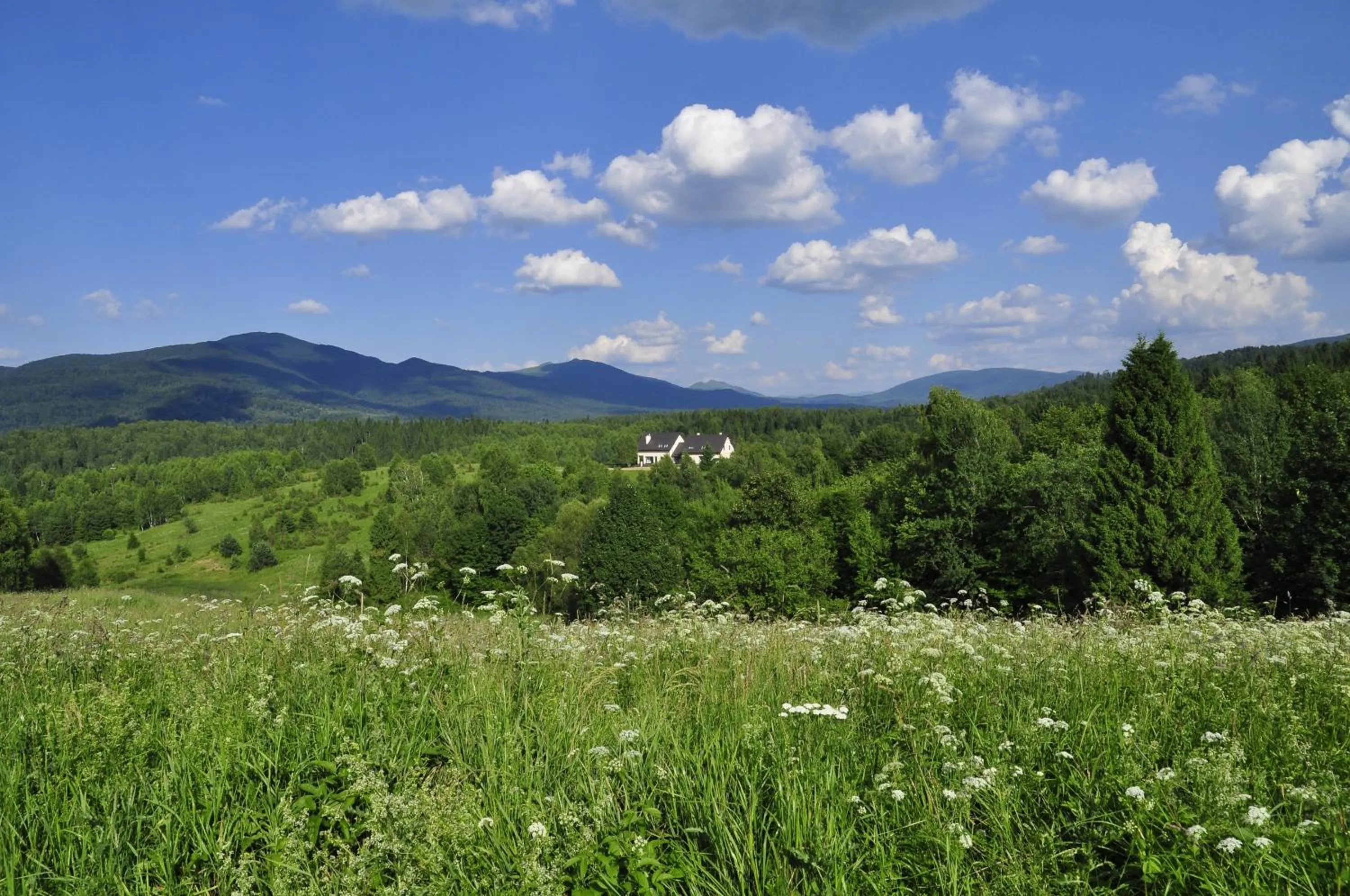 Property building in Gościniec Horb