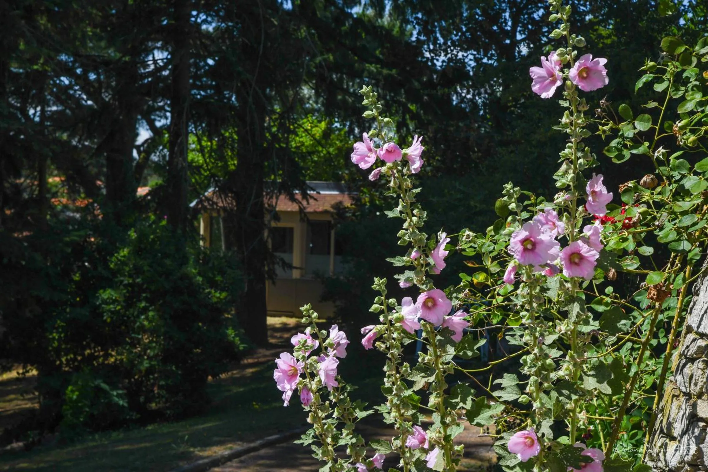 Area and facilities in Logis Hôtel La Chaumière