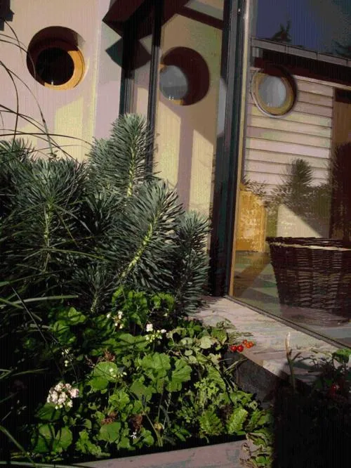 Garden in Invitation au Rivage