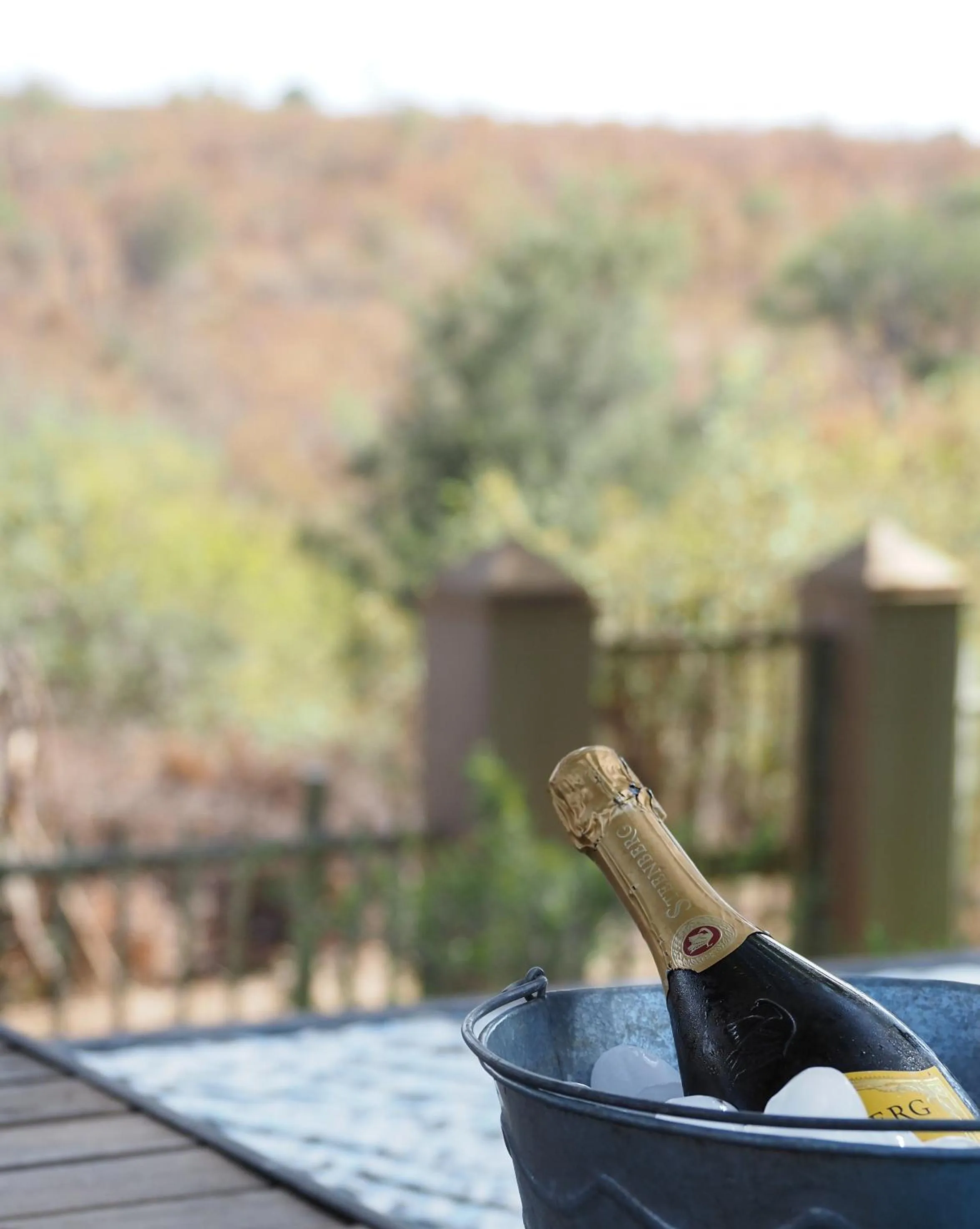 Swimming pool in Muweti Bush Lodge