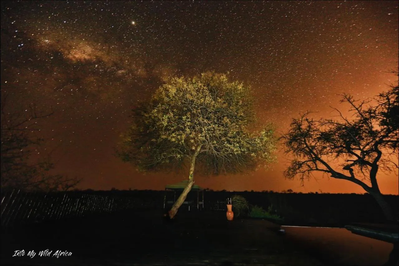 View (from property/room) in Muweti Bush Lodge