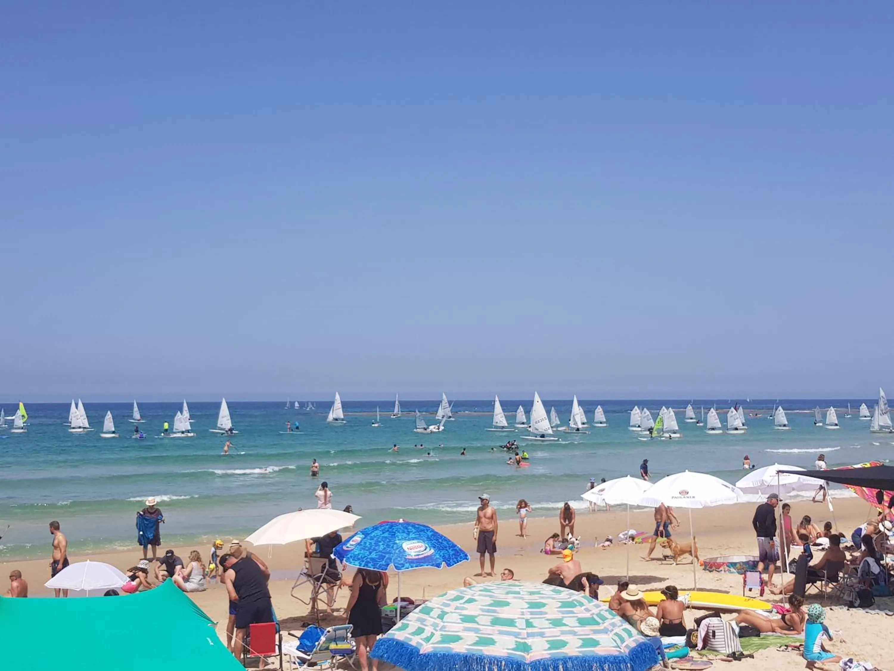 Nearby landmark in neot golf kz place