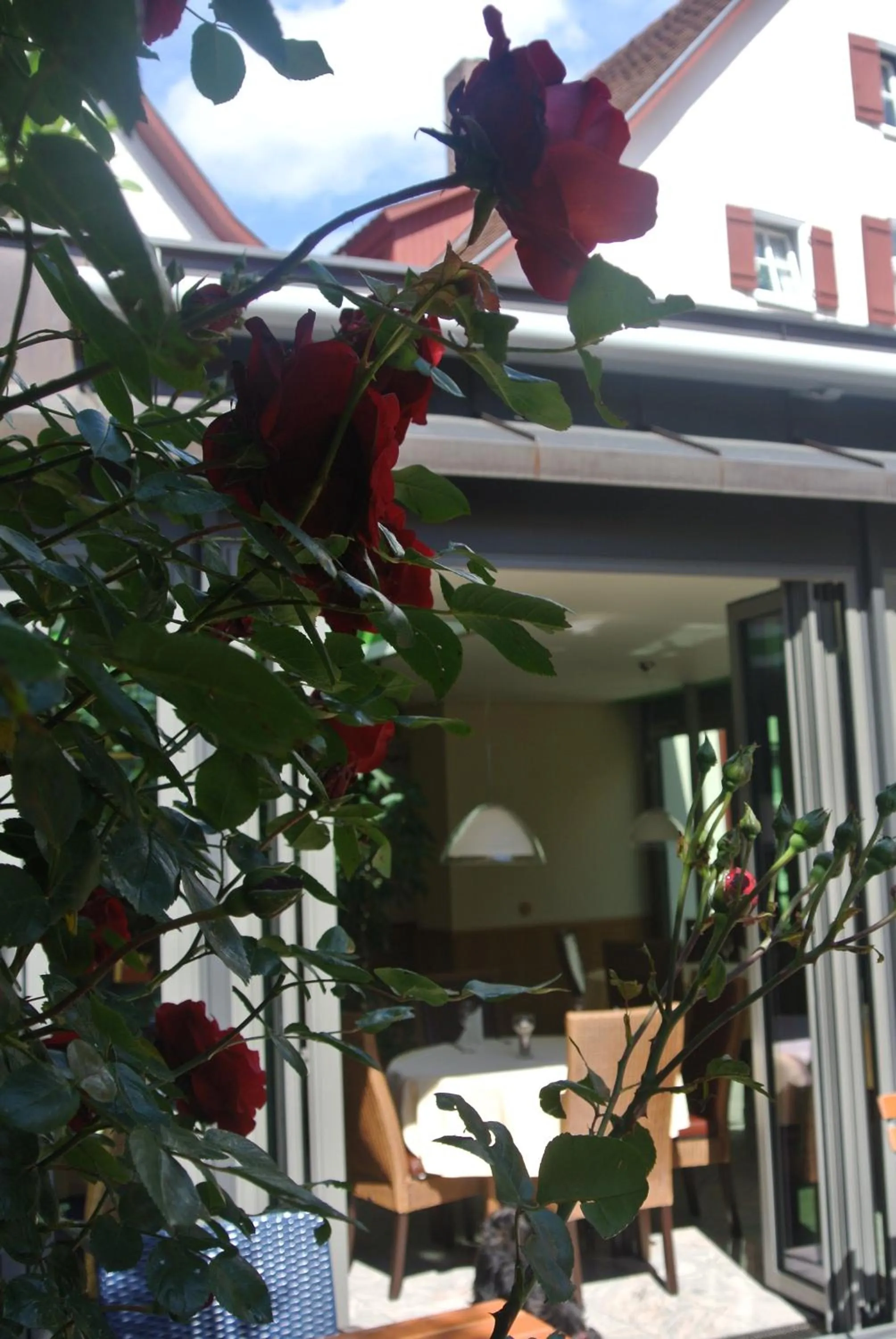 Patio in Hotel-Restaurant Goldenes Lamm