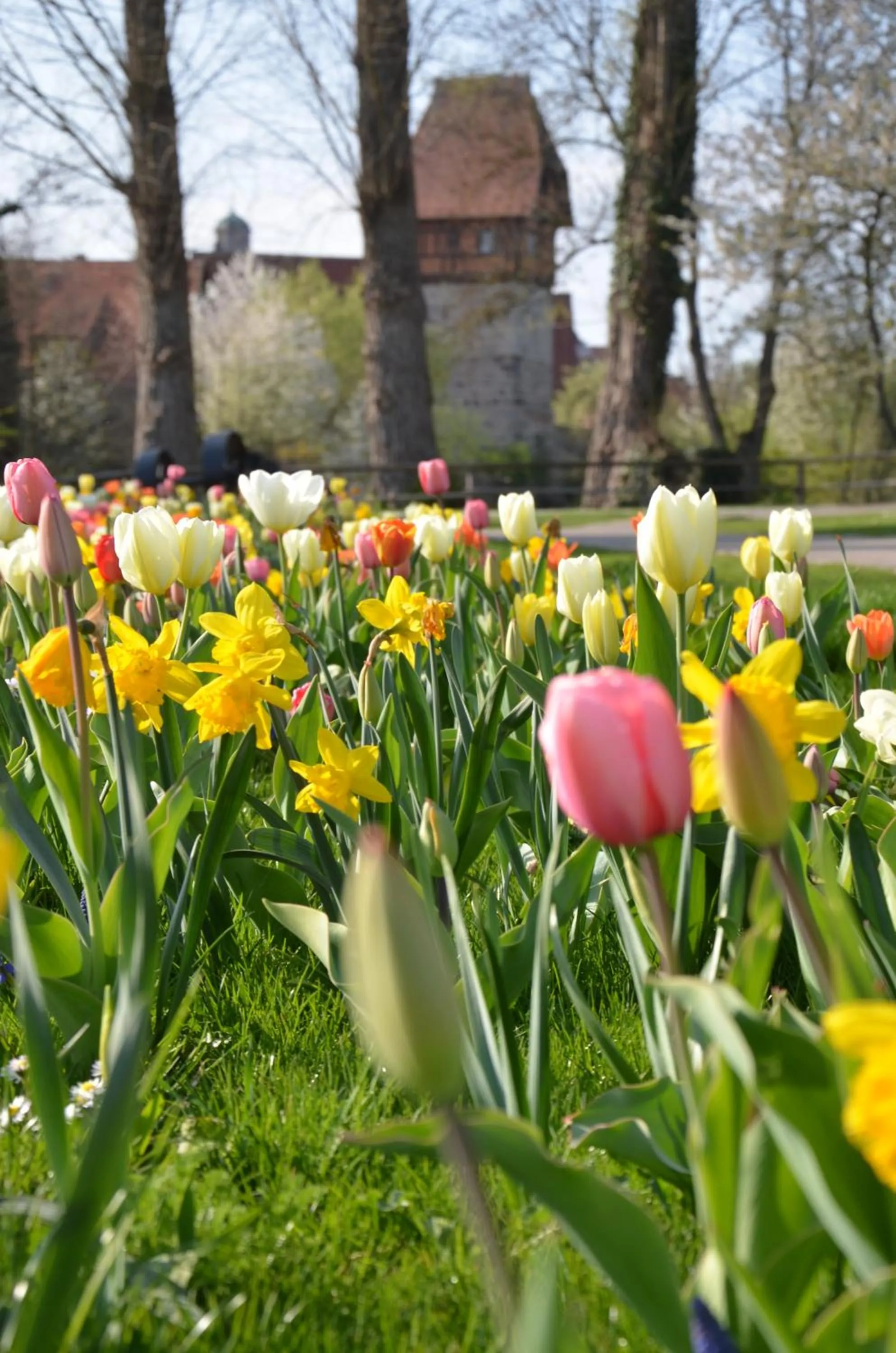 Nearby landmark in Hotel-Restaurant Goldenes Lamm