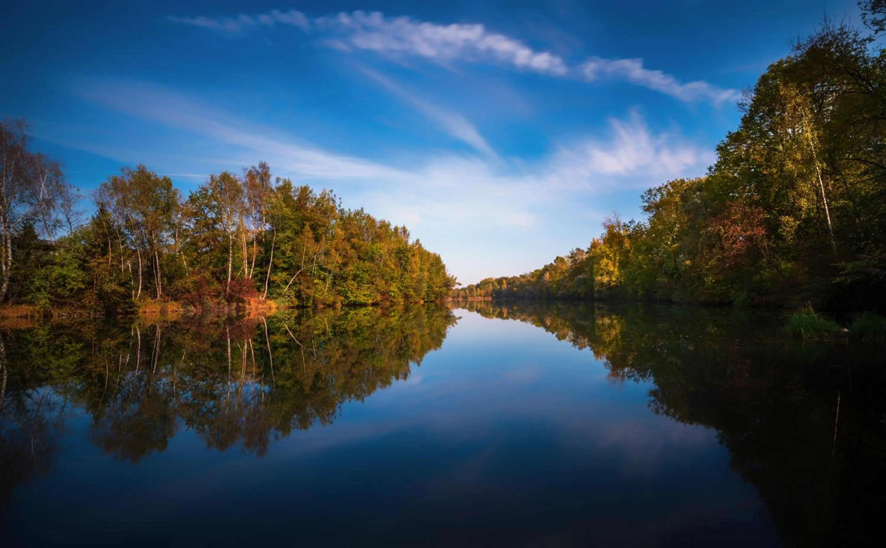 Natural landscape in Motel Hohenems
