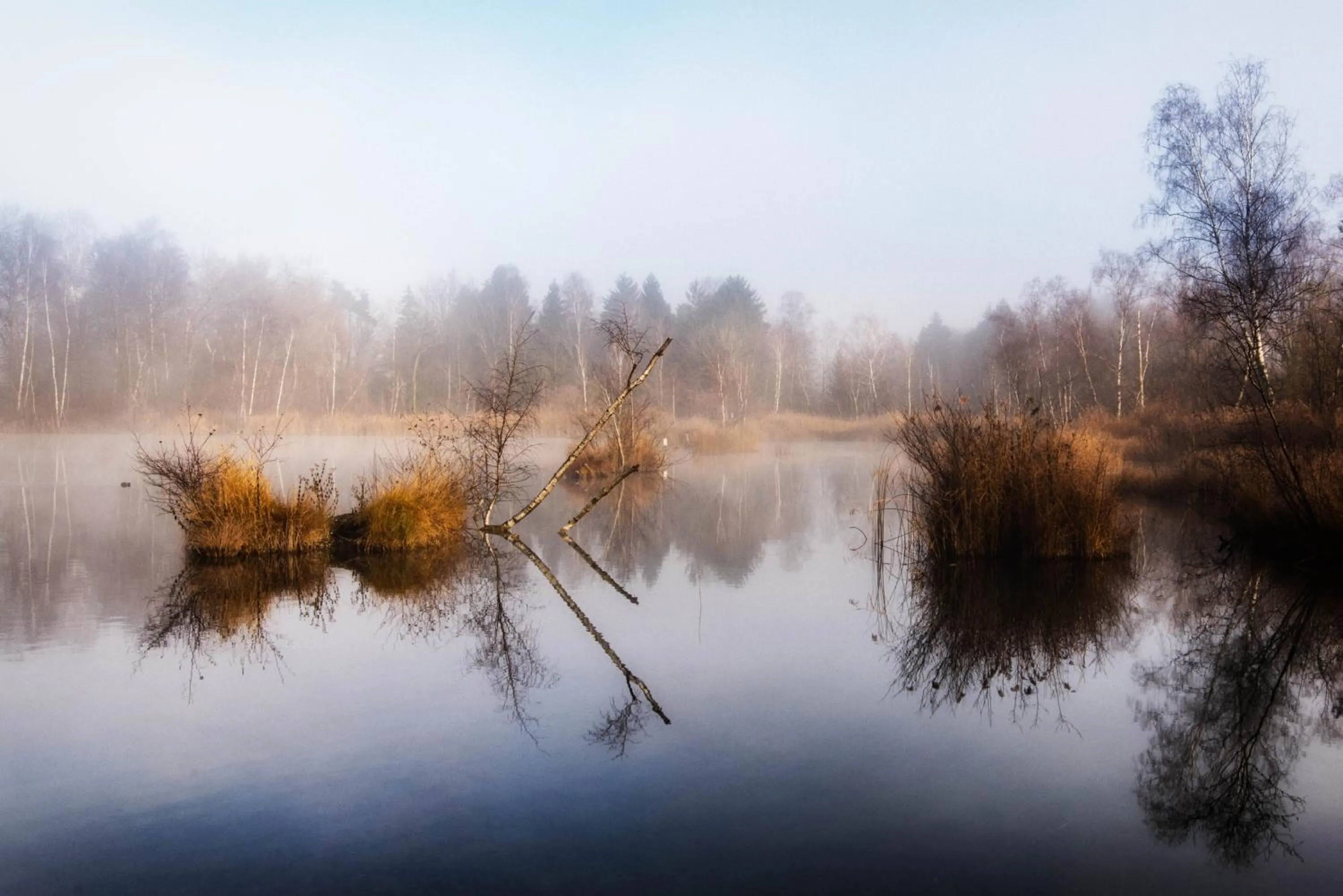 Natural landscape in Motel Hohenems
