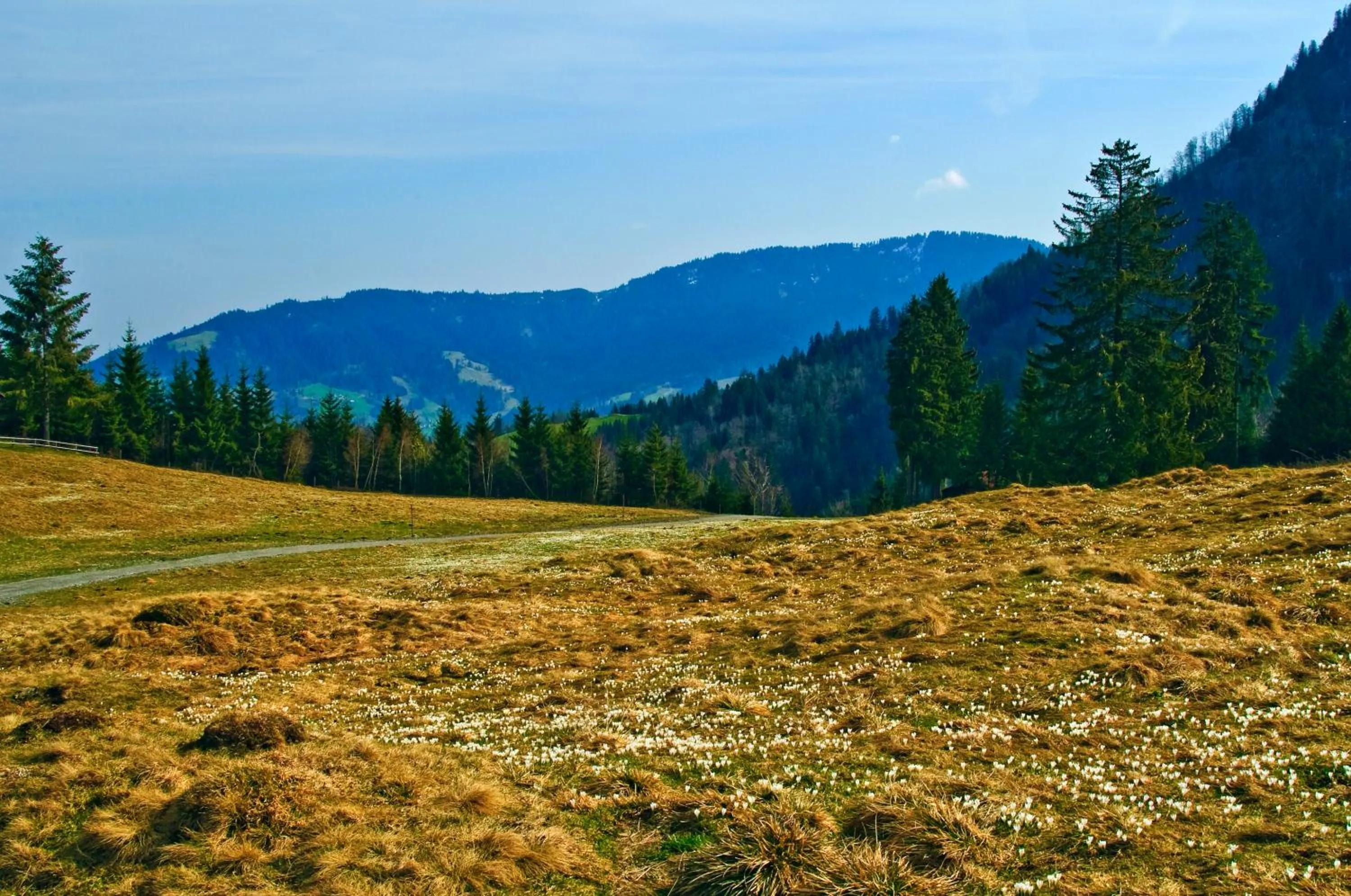 Area and facilities in Motel Hohenems