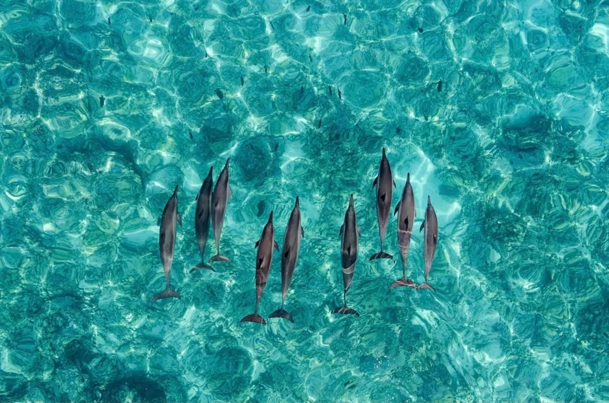 Hale Moana, Unit #110 Kona Islander Inn