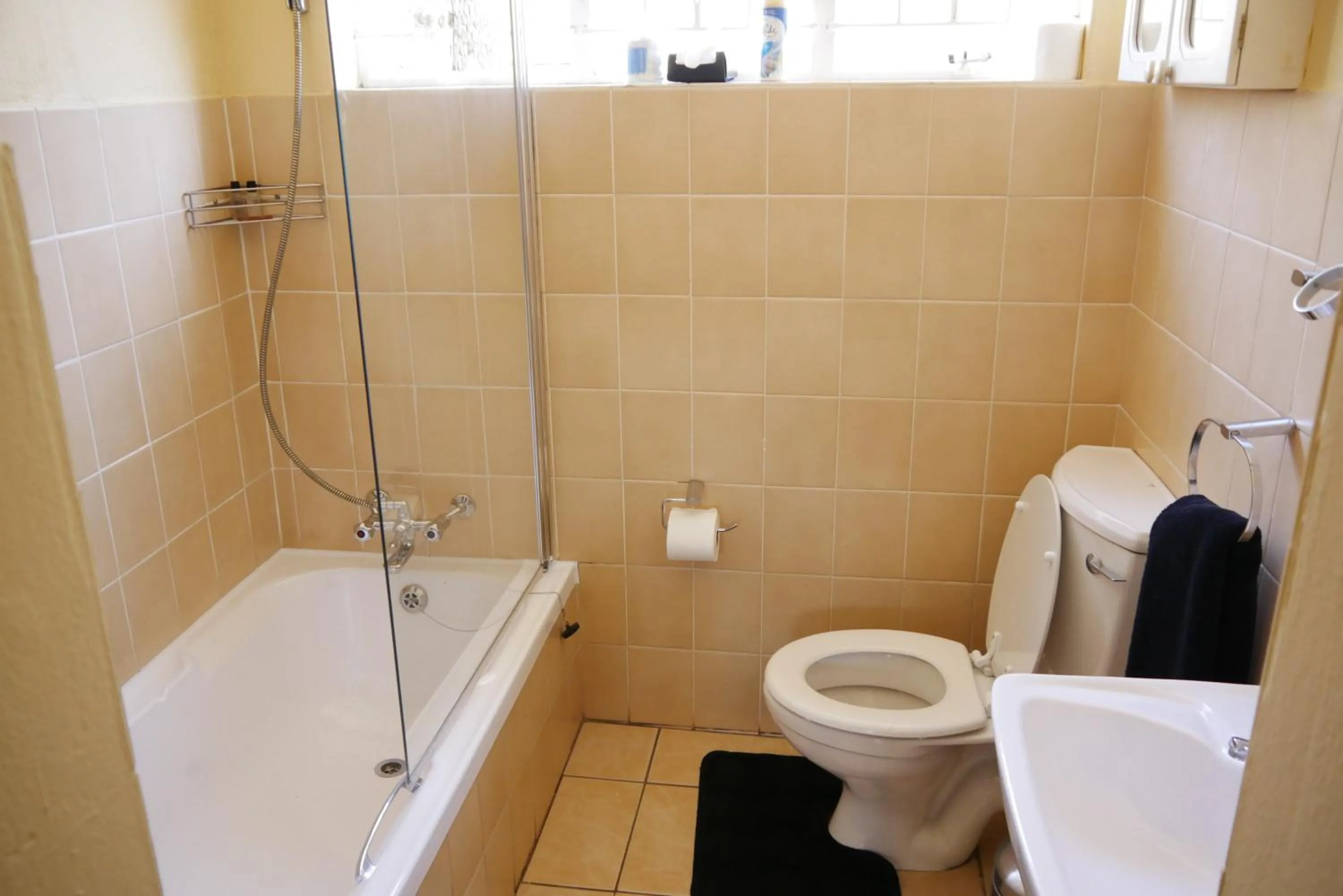 Toilet in Margaret's Place