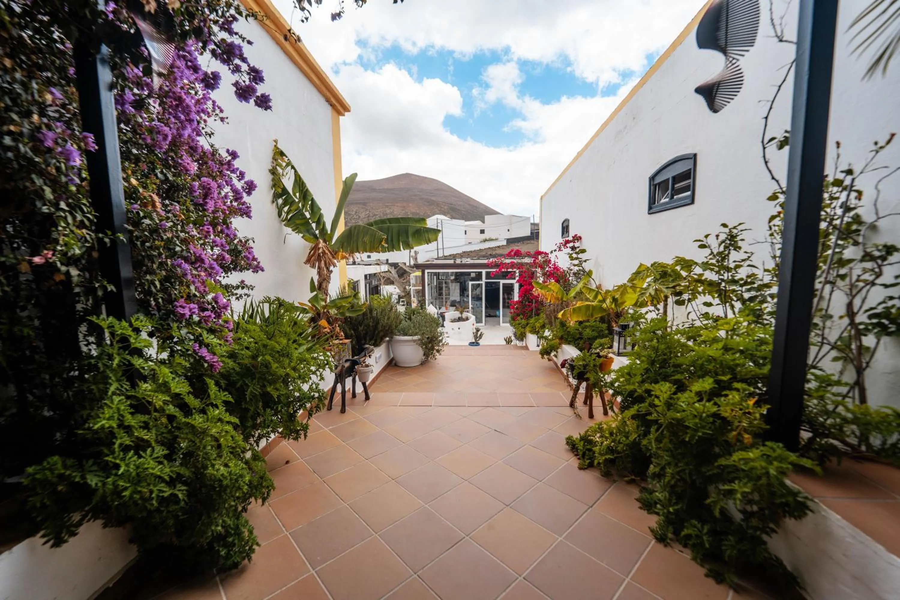 Garden in HOTELITO RURAL GA7COLORES only adult