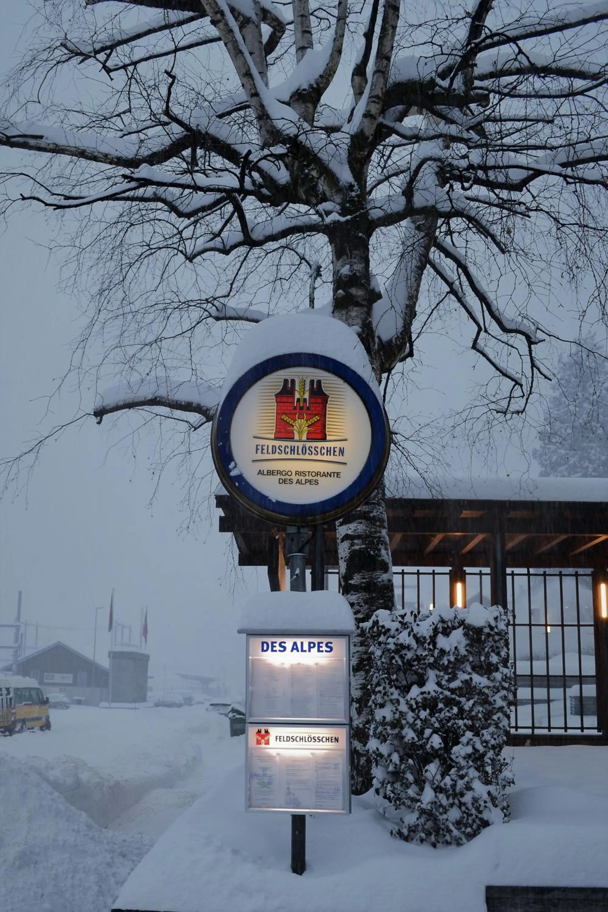Facade/entrance in Hotel Des Alpes - Restaurant & Pizzeria