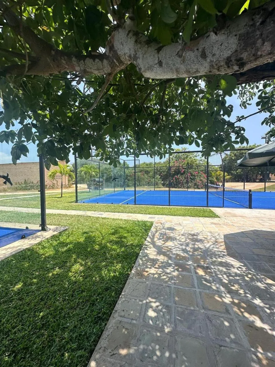 Sports in Ocean Sports Resort