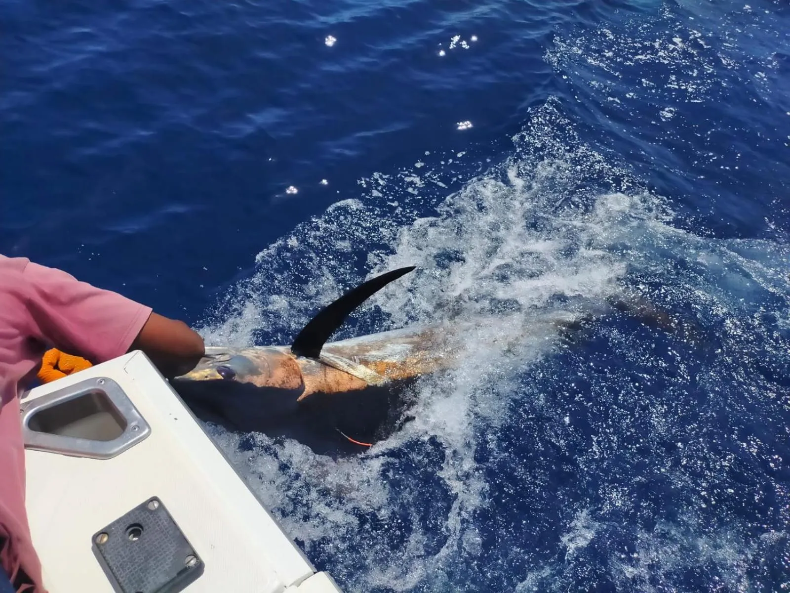 Fishing in Ocean Sports Resort