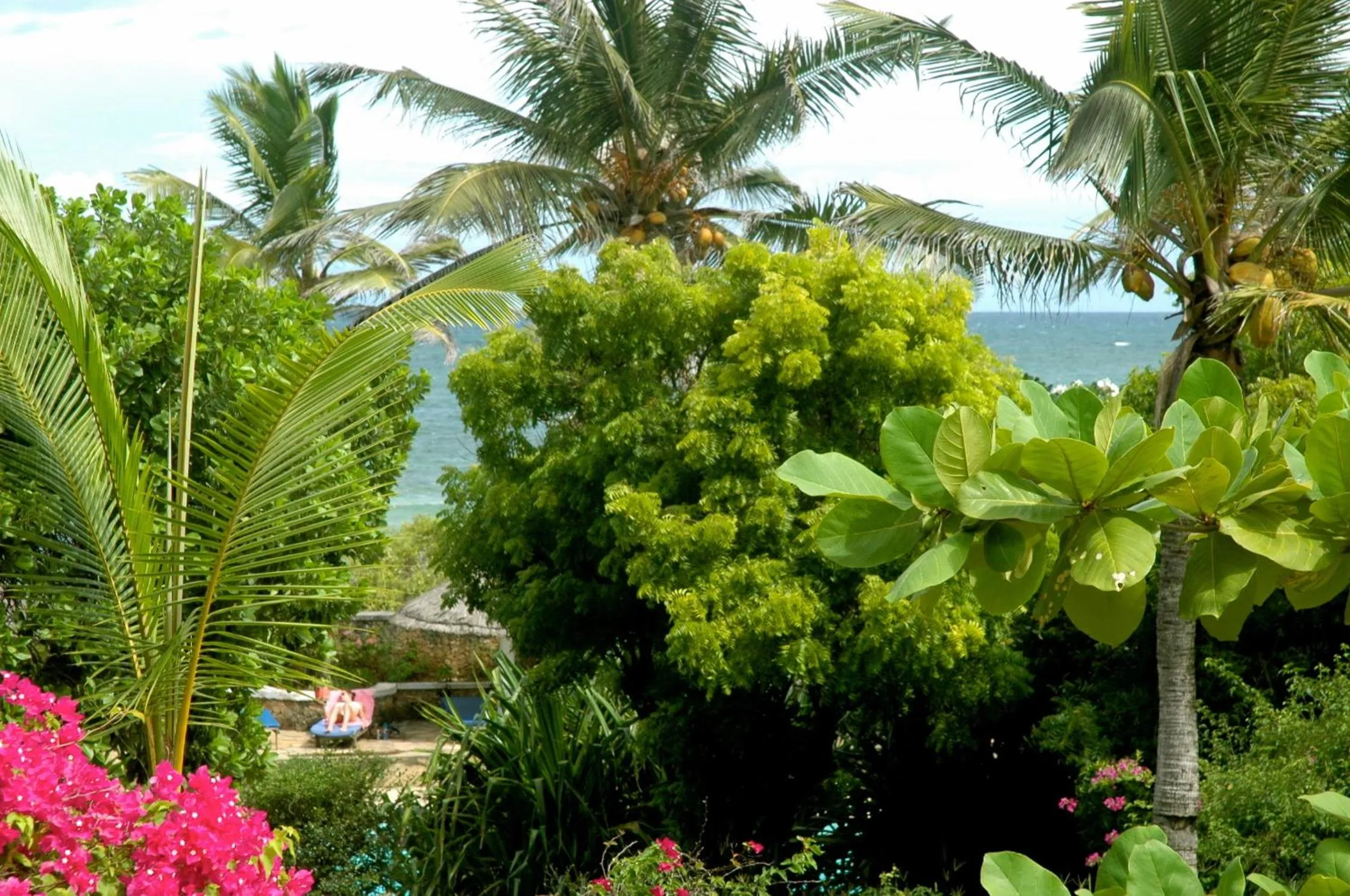Garden in Ocean Sports Resort