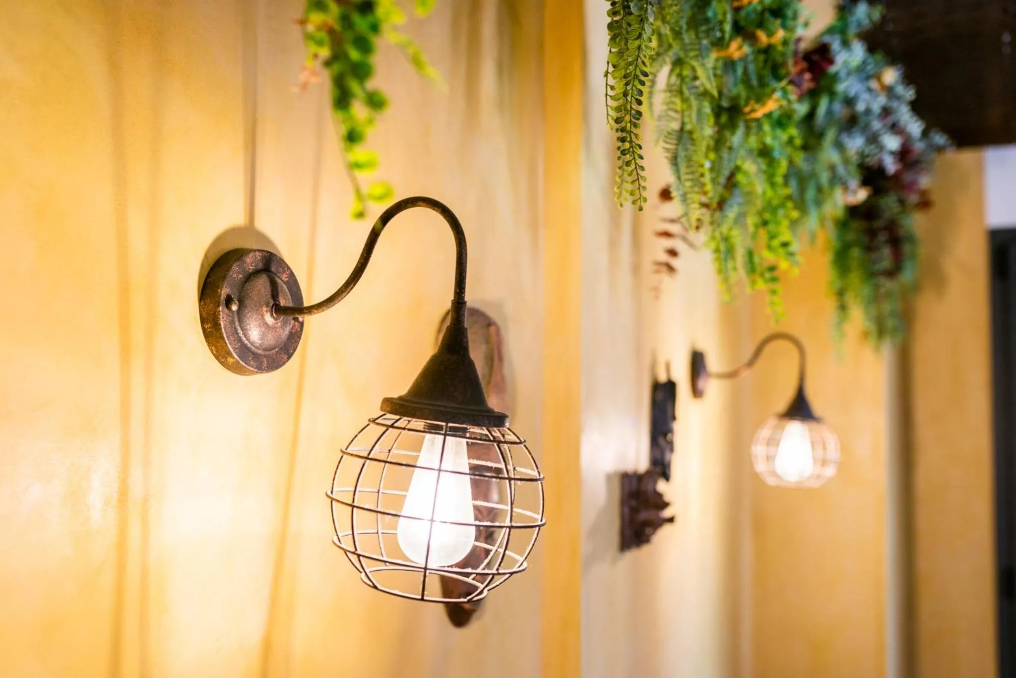 Hostel Carlota Braun