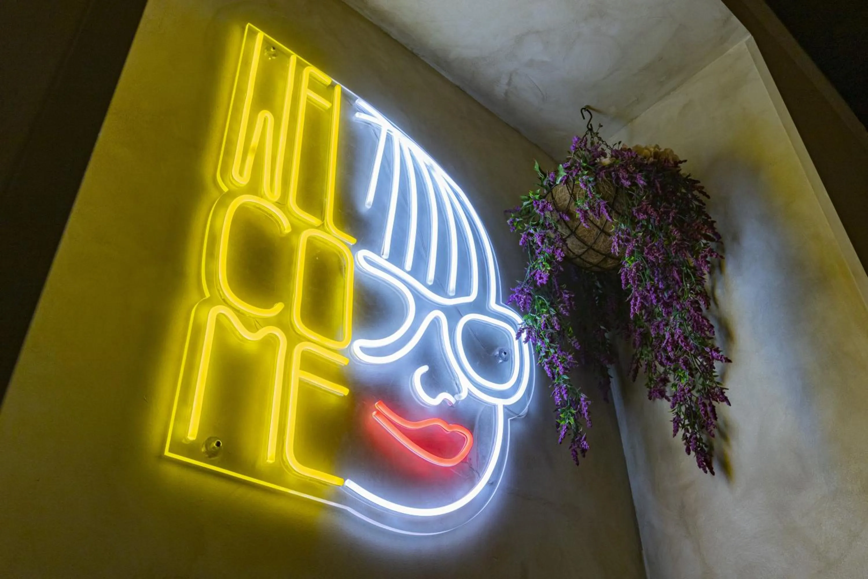 Property logo or sign in Hostel Carlota Braun