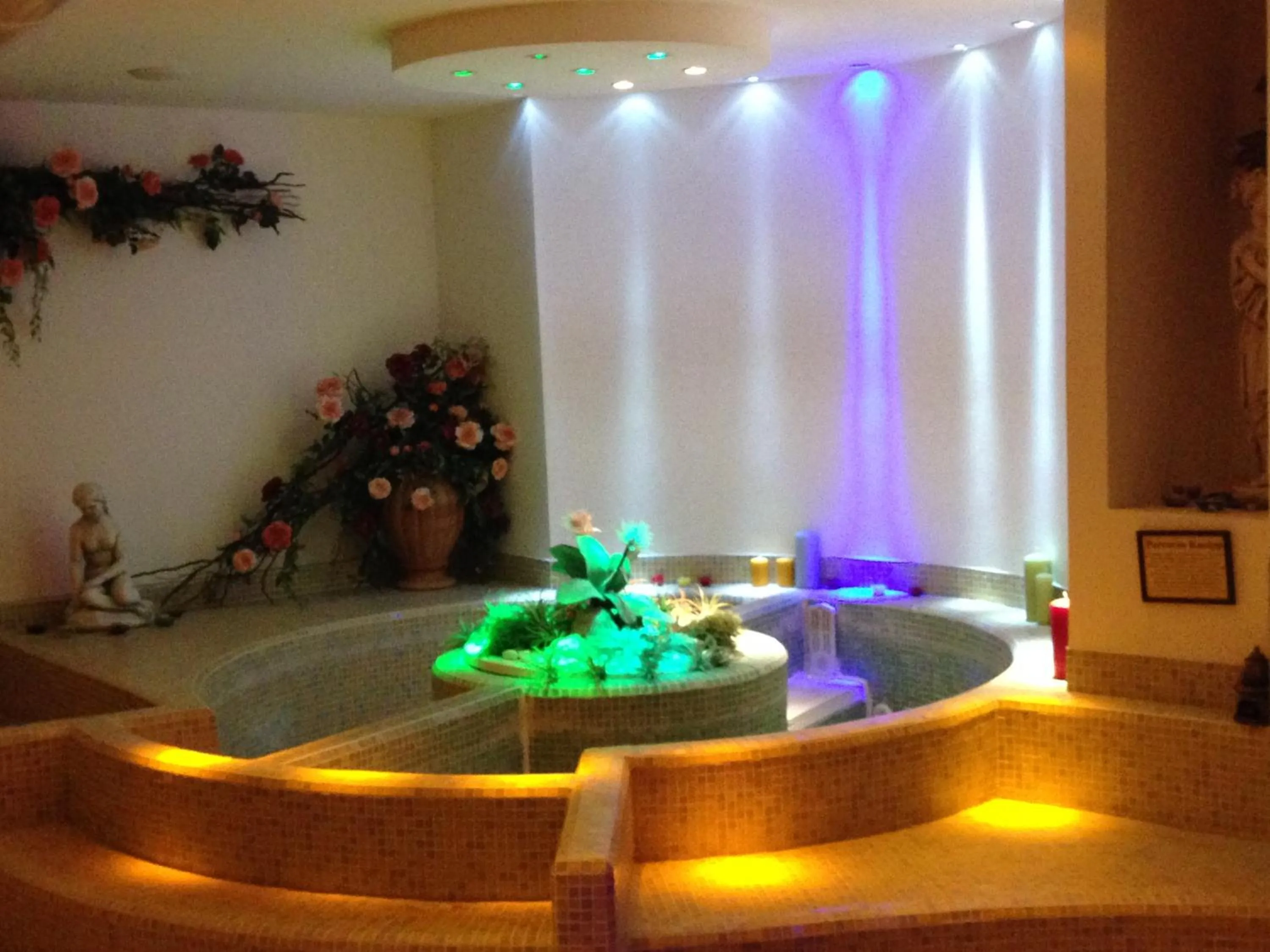 Spa and wellness centre/facilities in Hotel Olisamir