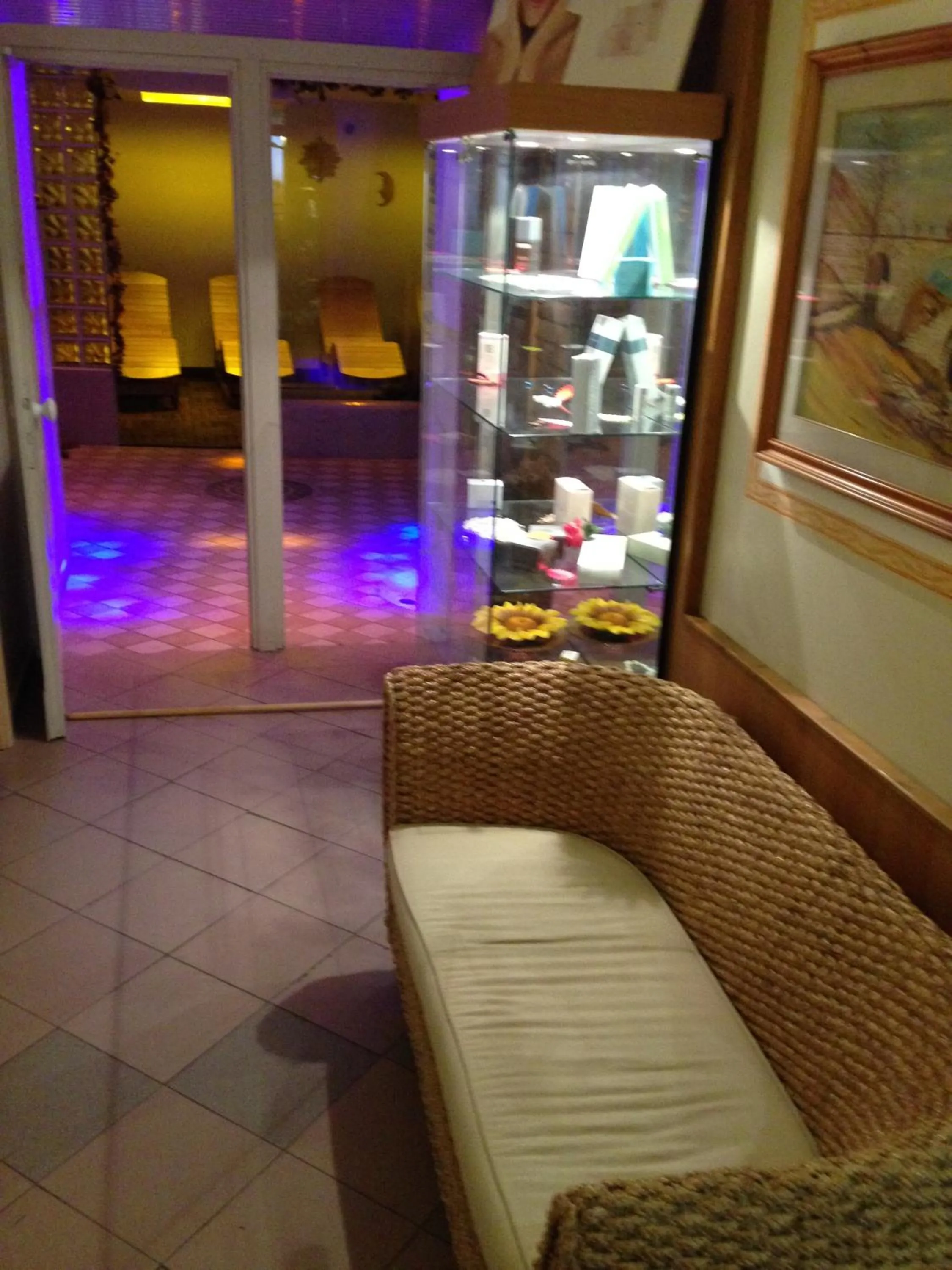 Spa and wellness centre/facilities in Hotel Olisamir