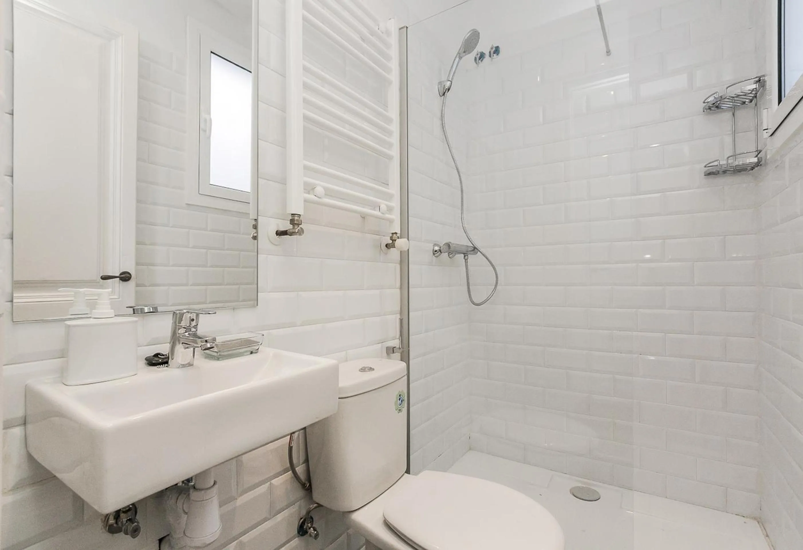 Shower in Bcn Paseo De Gracia Rocamora Apartment