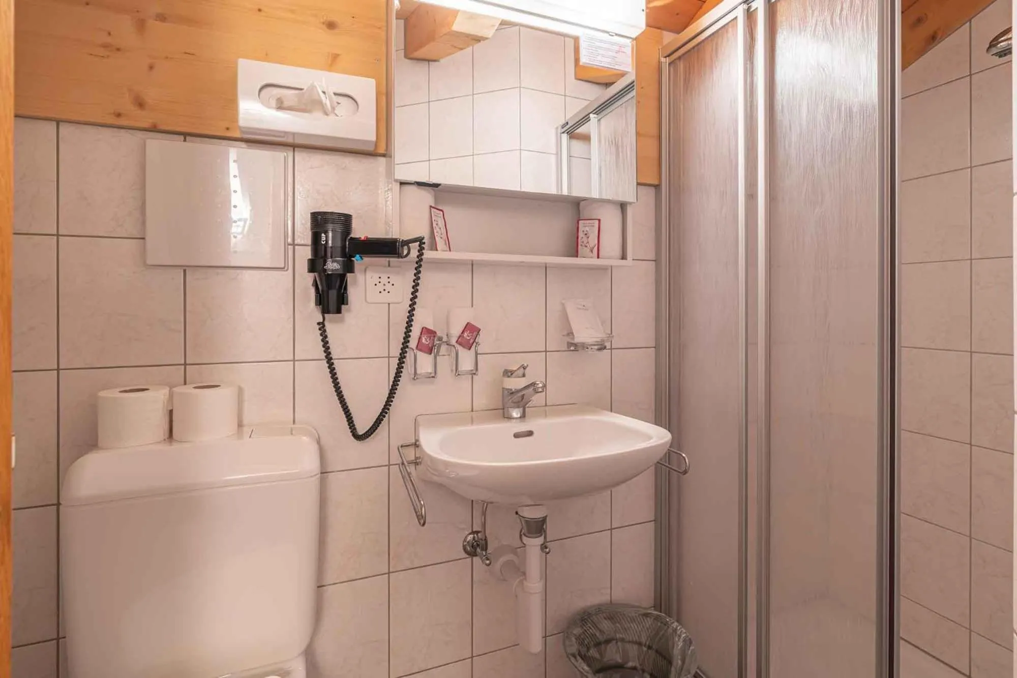 Shower in Aktiv- und Genusshotel Alpenblick