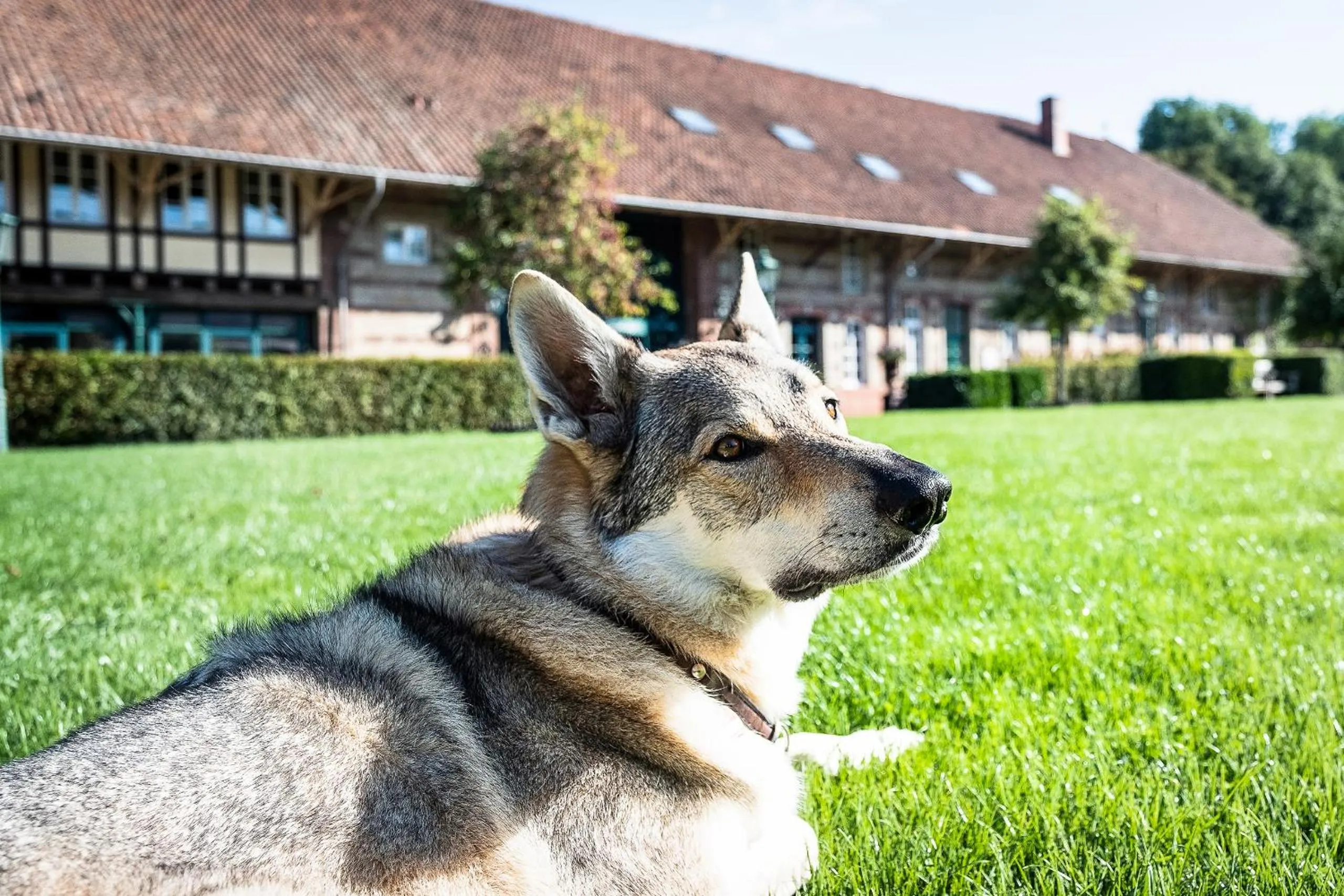 Property building in Der Linslerhof - Hotel, Restaurant, Events & Natur