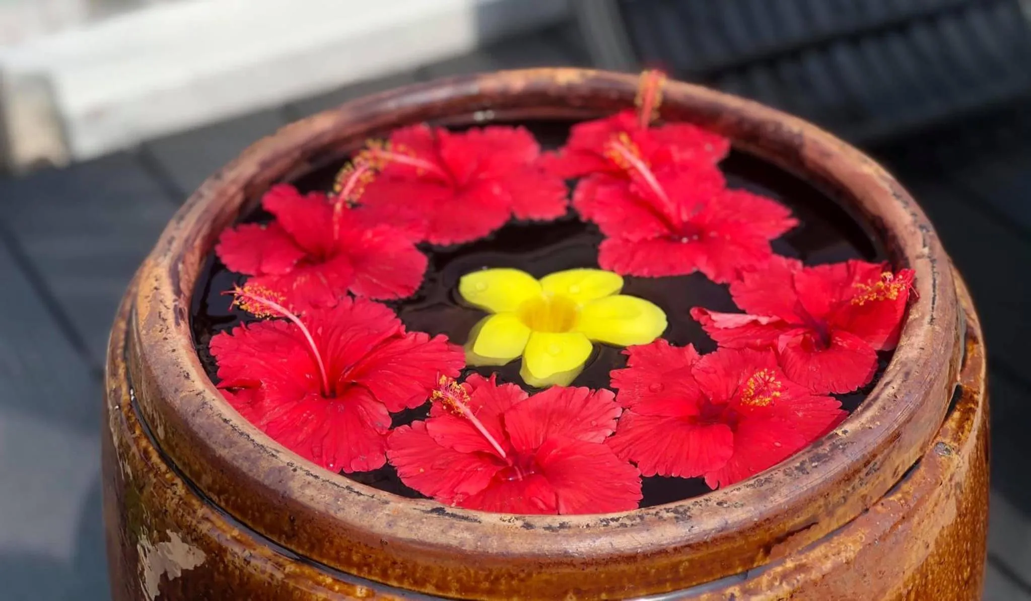 Swimming pool in Hạ Long New Century Hotel