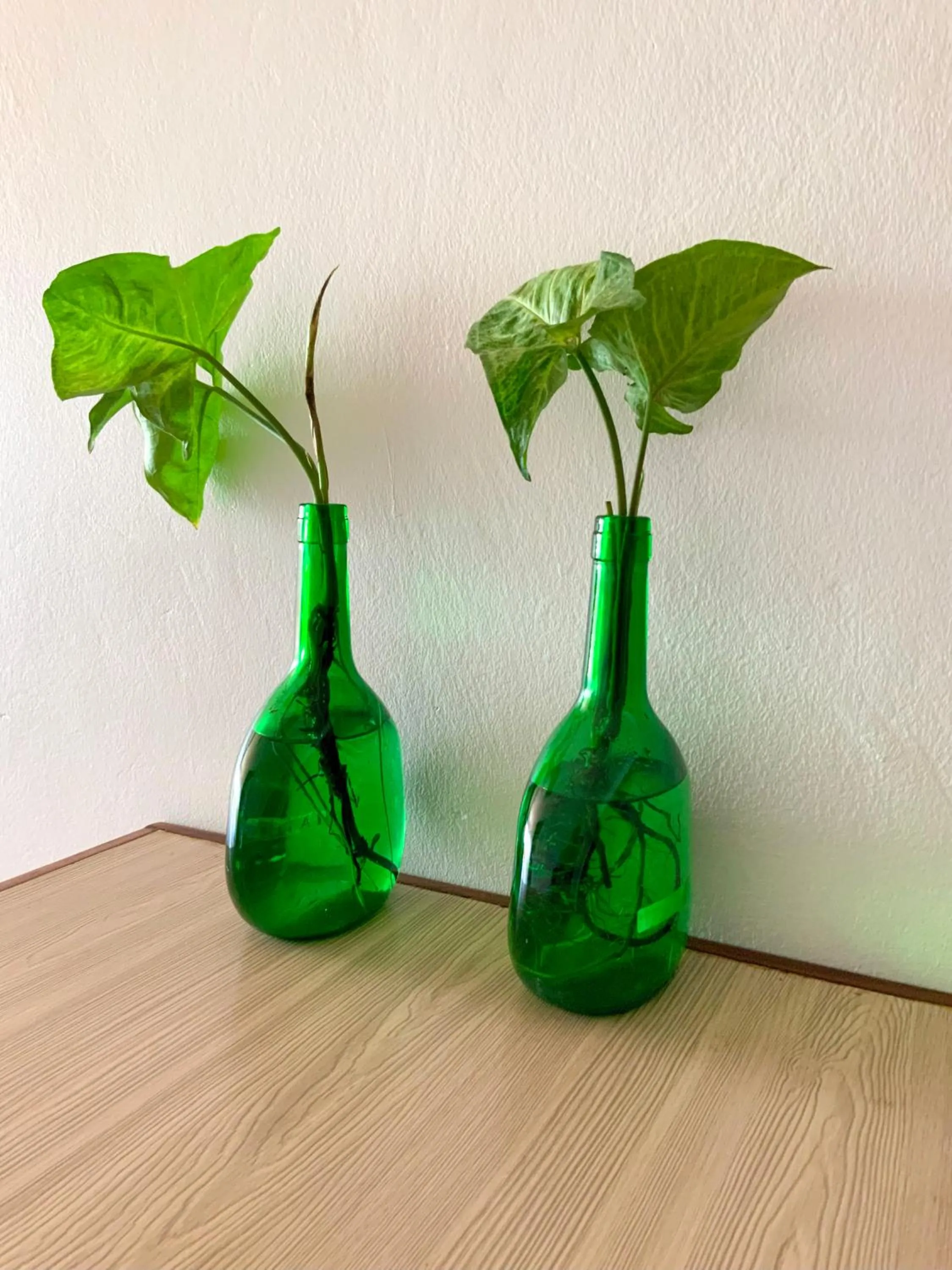 Decorative detail in Hendo Hotel