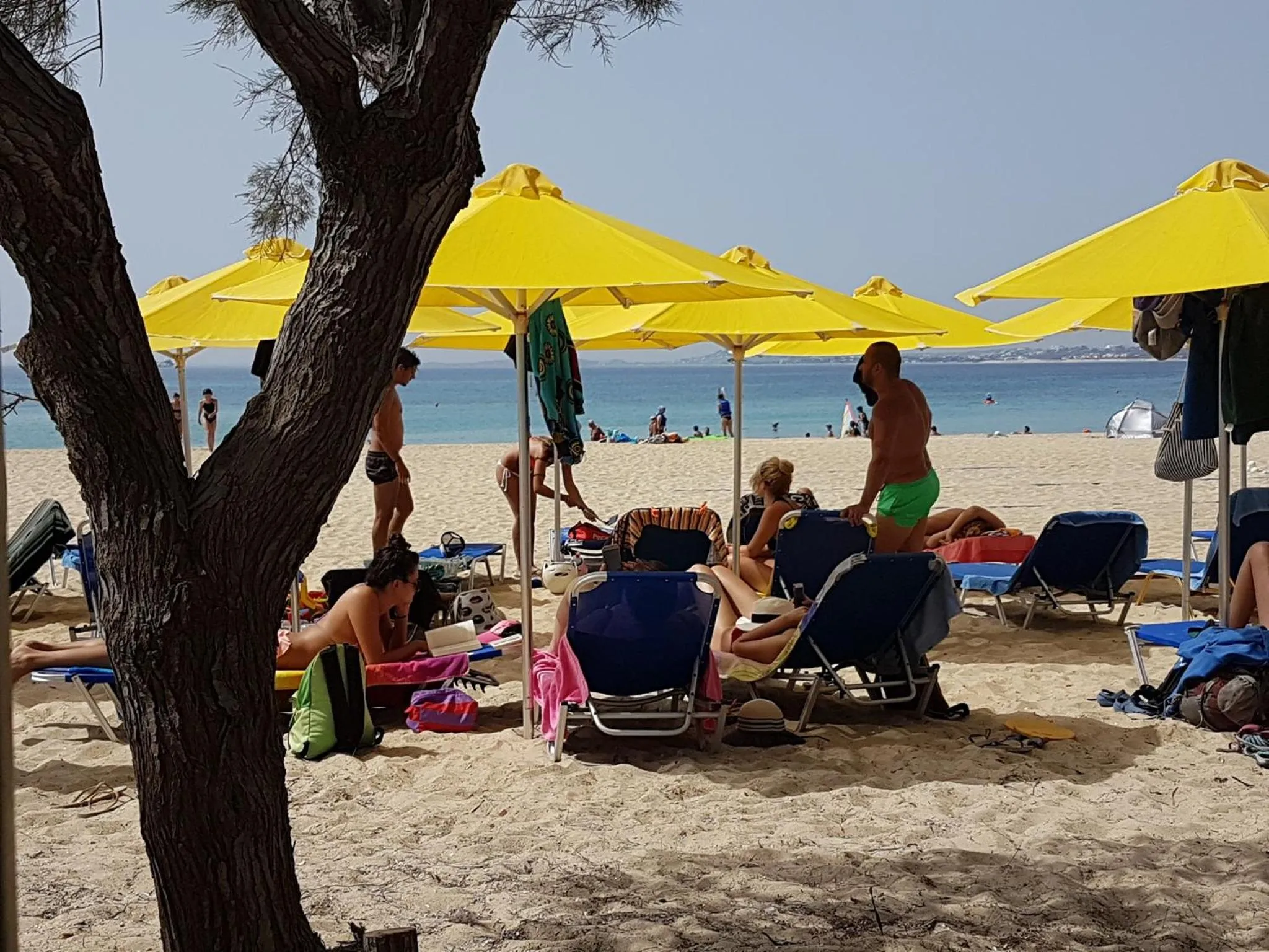 Beach in Mikri Vigla Hotel Beach Resort