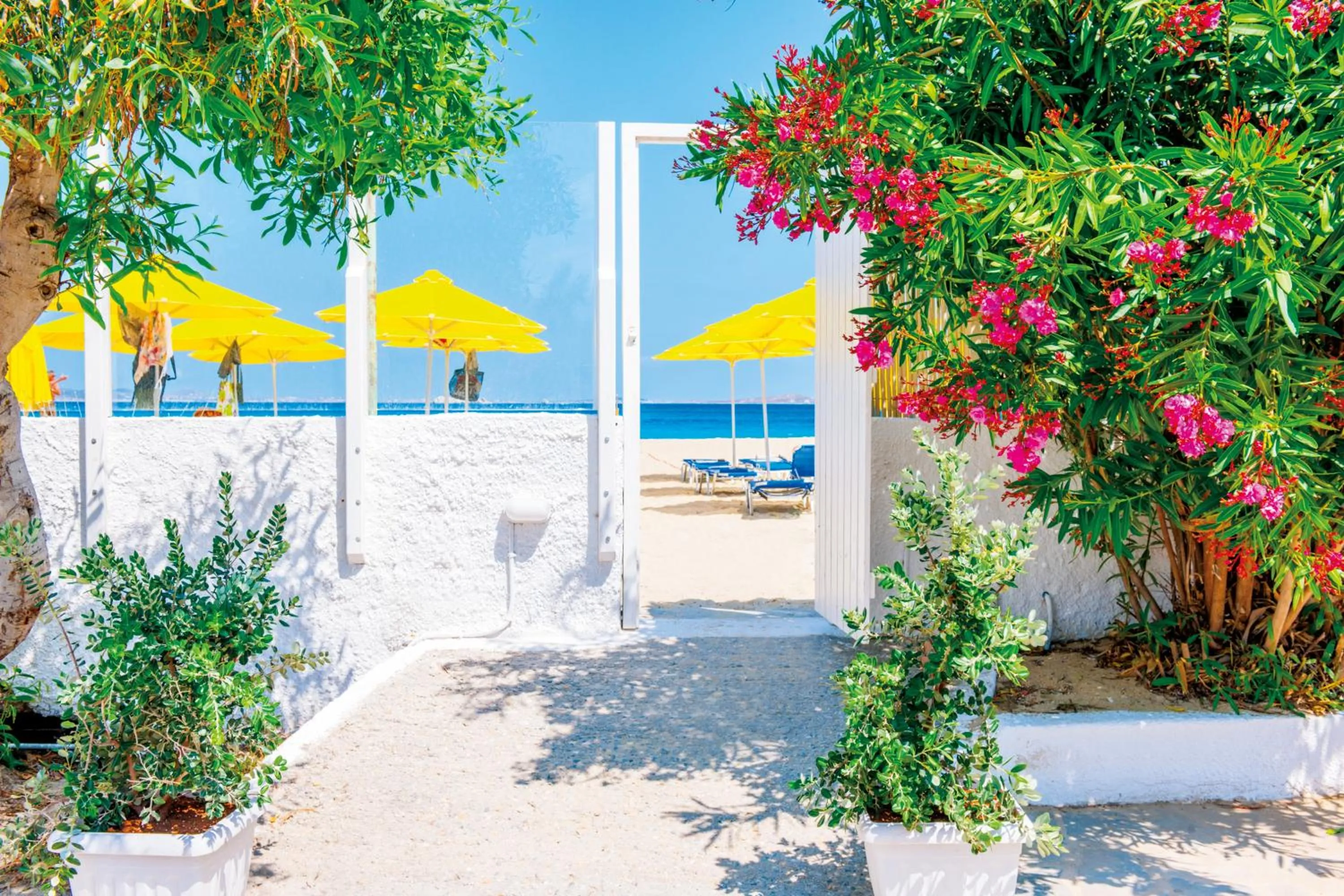 Garden in Mikri Vigla Hotel Beach Resort