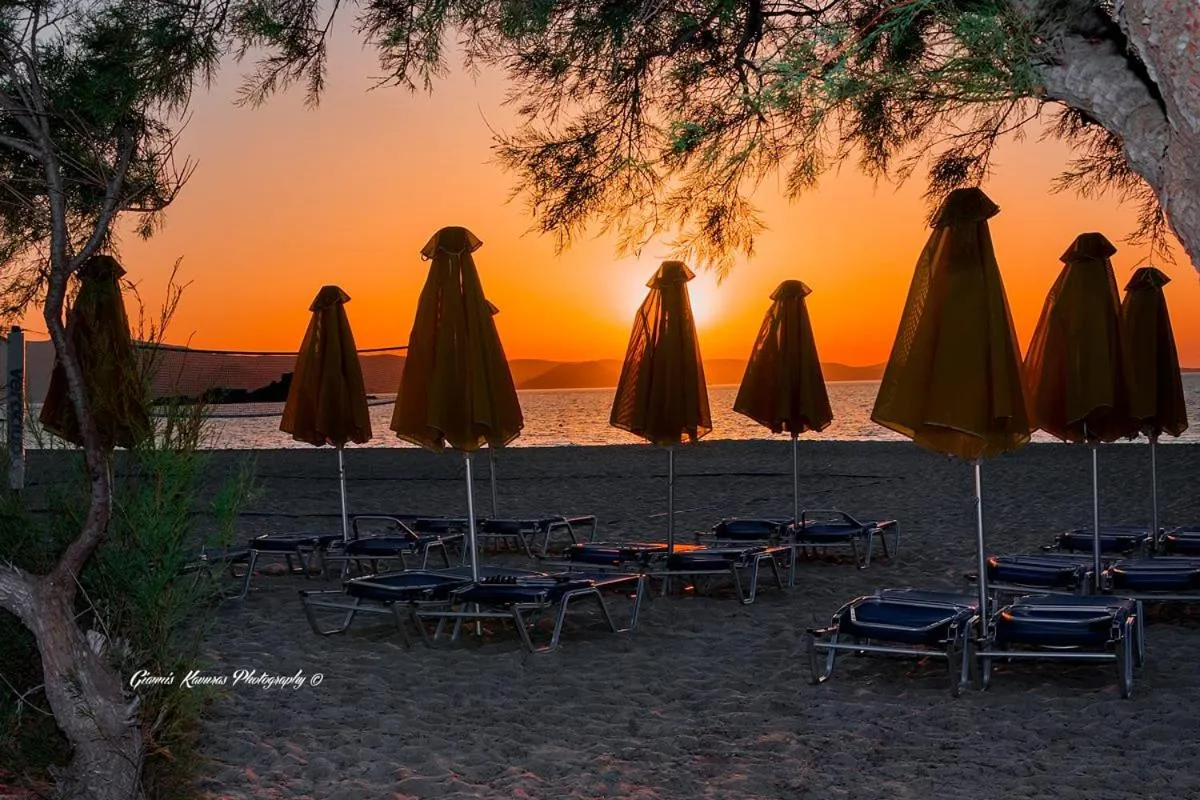 Beach in Mikri Vigla Hotel Beach Resort