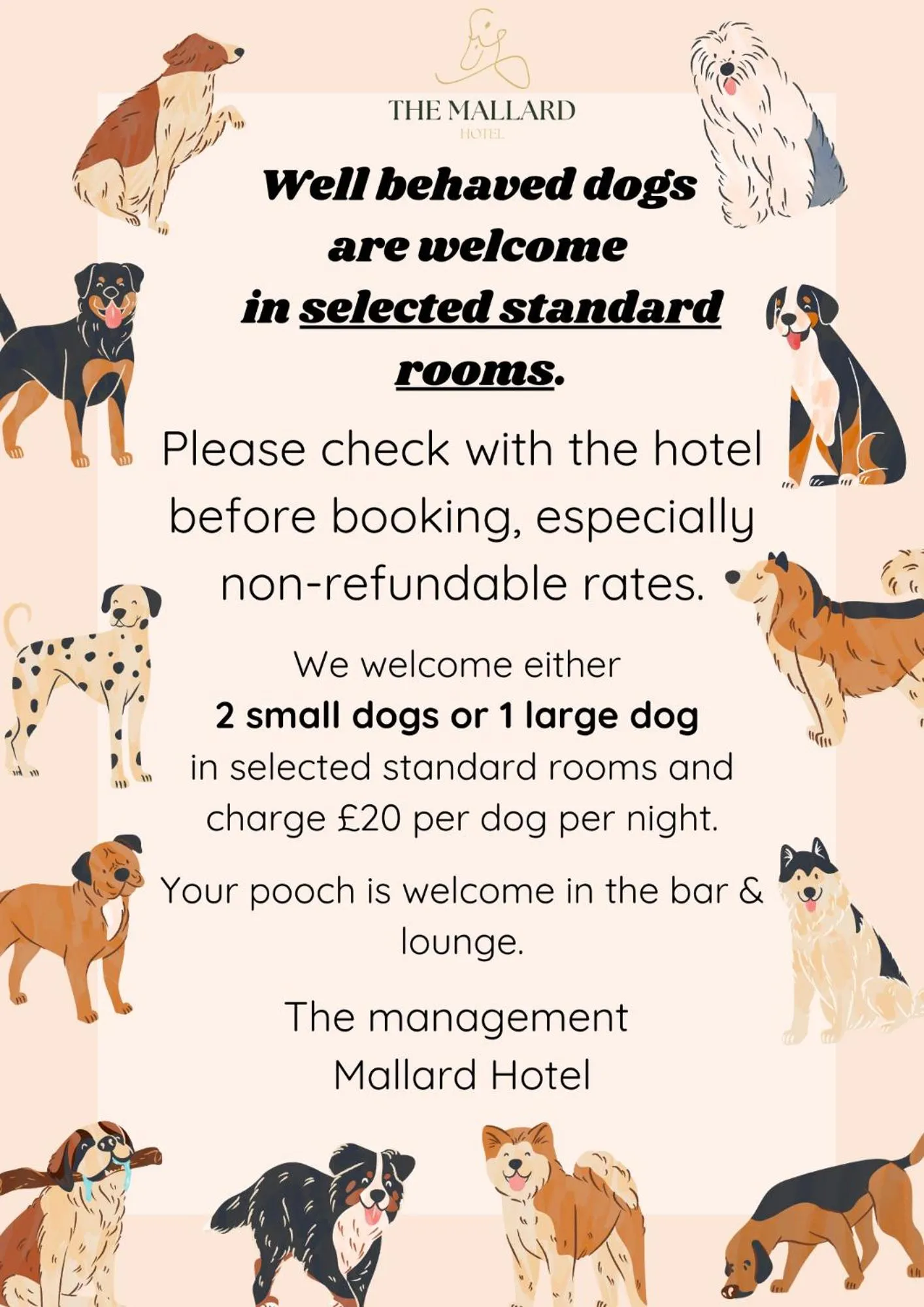 Pets in The Mallard Hotel