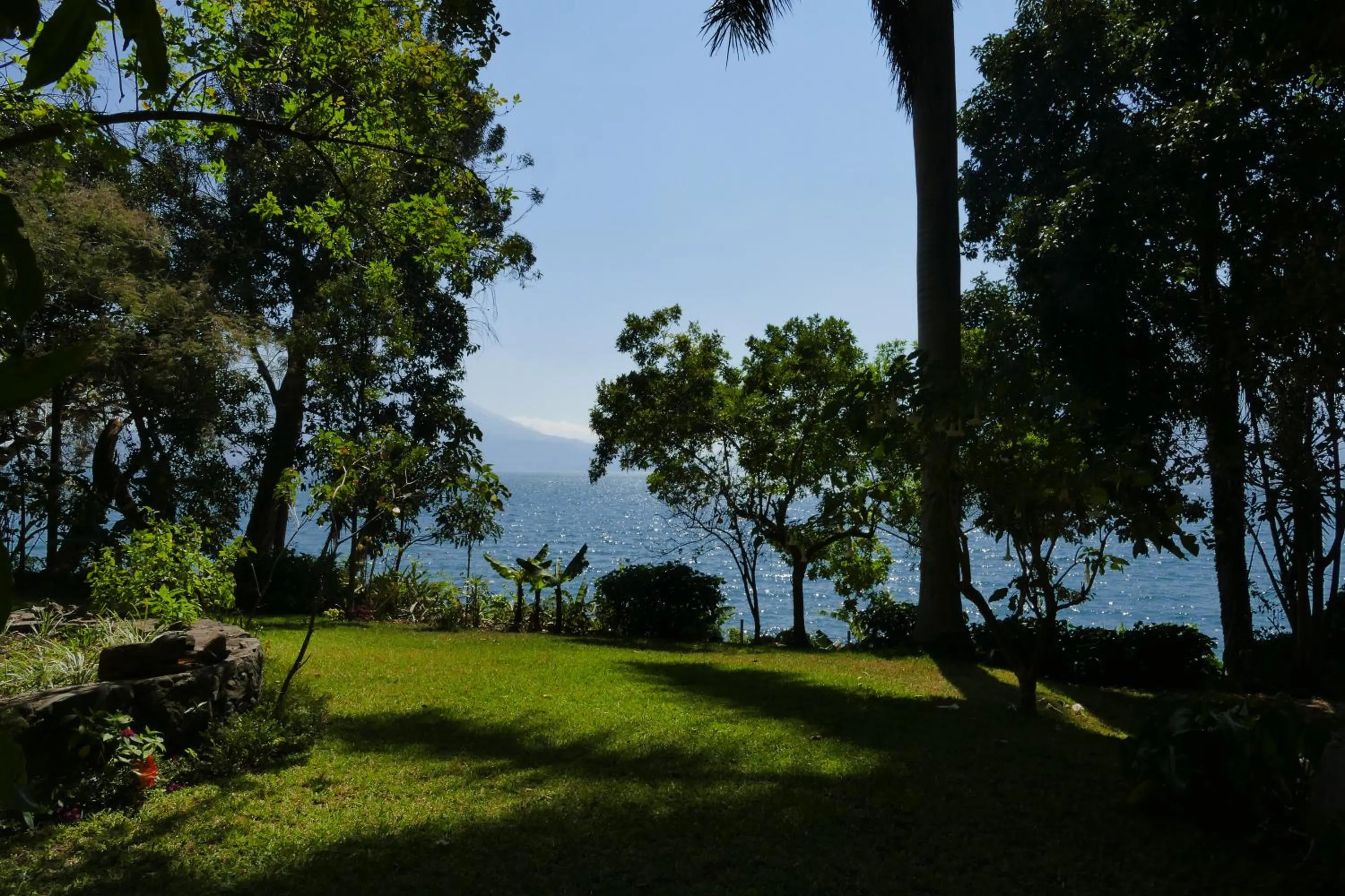 Garden in Hotel & Restaurante Arca de Noé