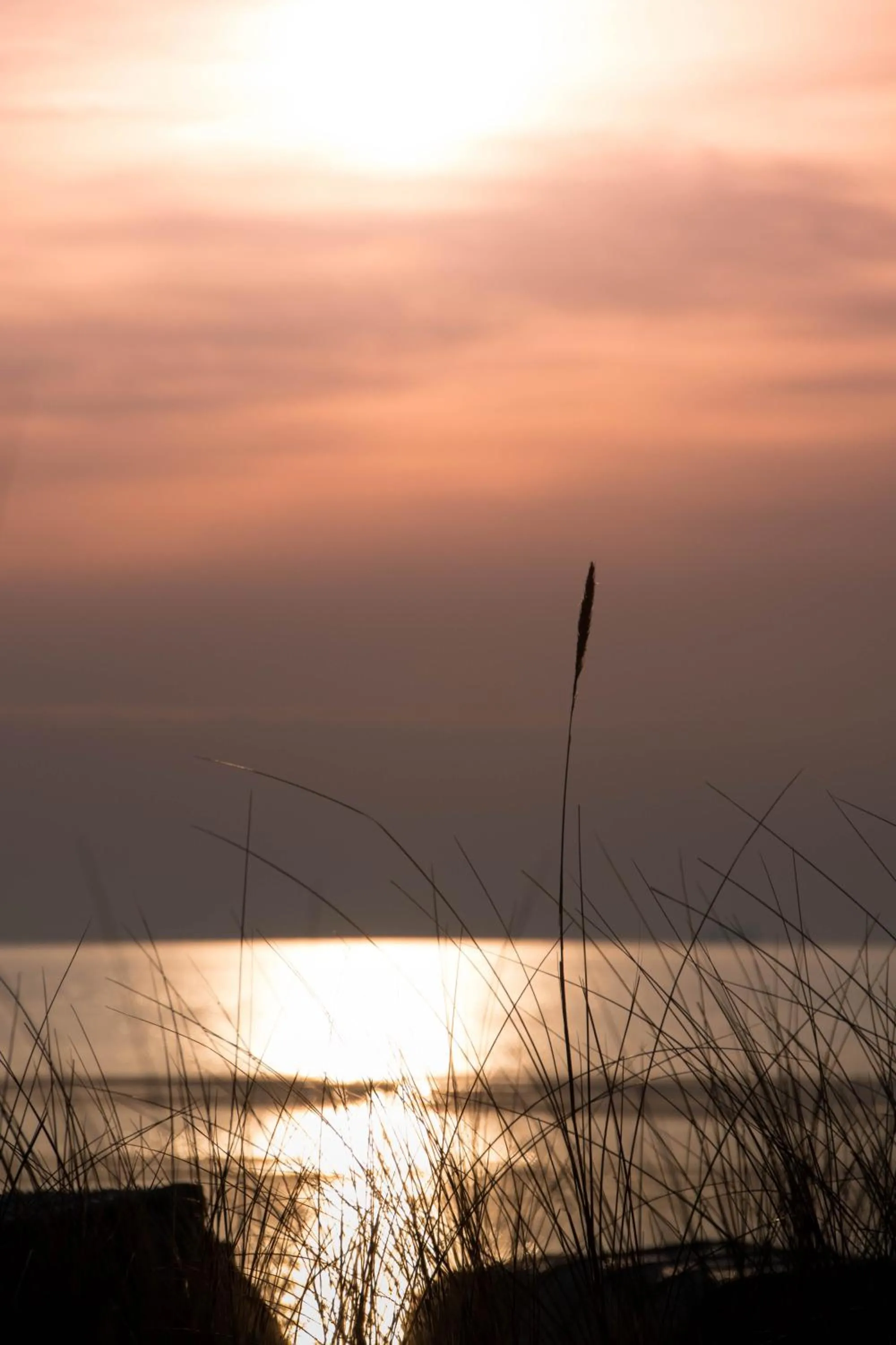 Beach in Landhaus Carstens