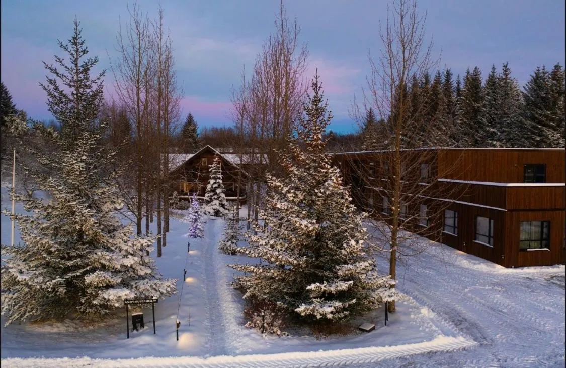Winter in Blue Hotel Fagrilundur - On The Golden Circle