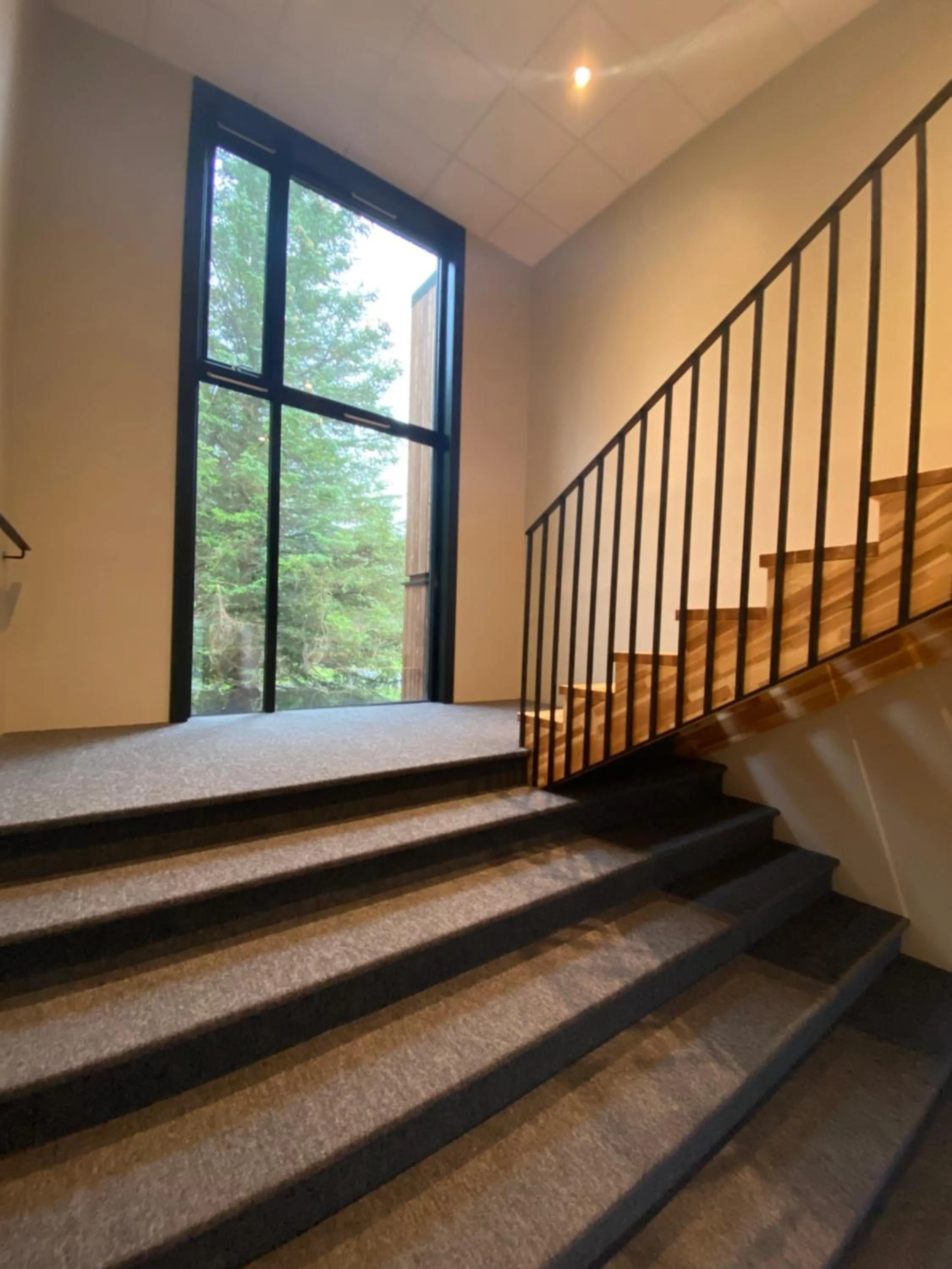 Garden view in Blue Hotel Fagrilundur - On The Golden Circle