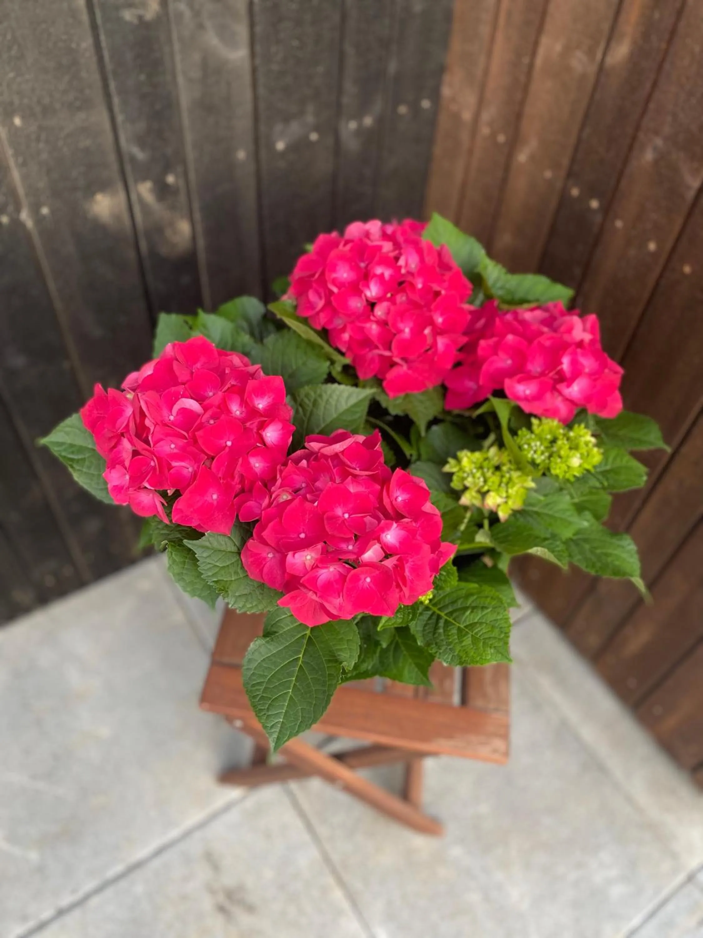 Decorative detail in Blue Hotel Fagrilundur - On The Golden Circle
