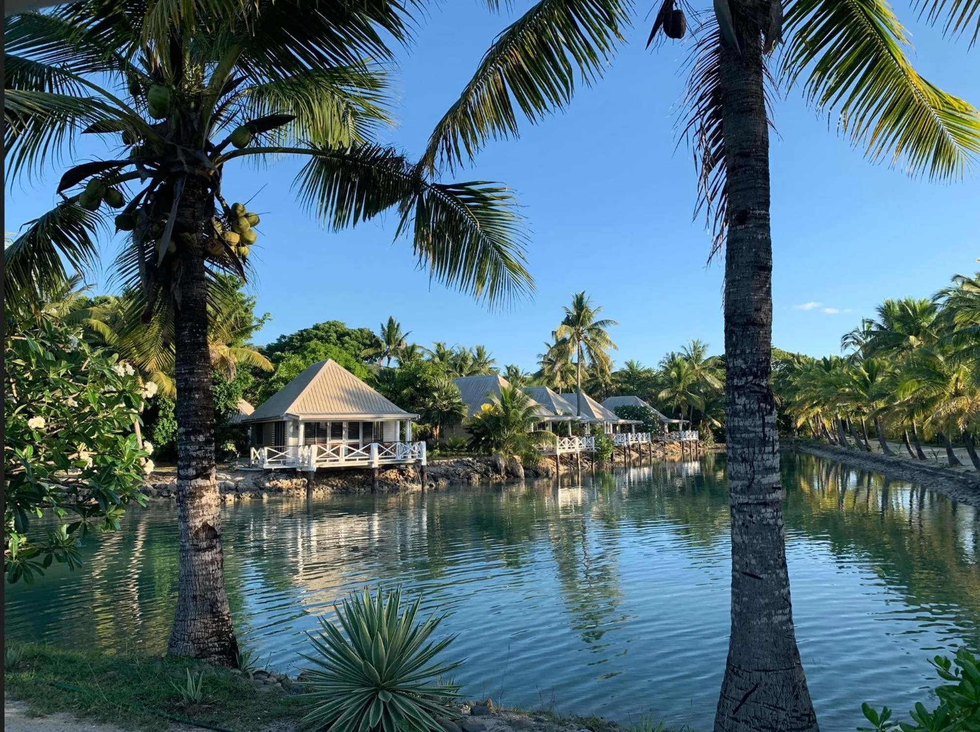 Musket Cove Island Resort