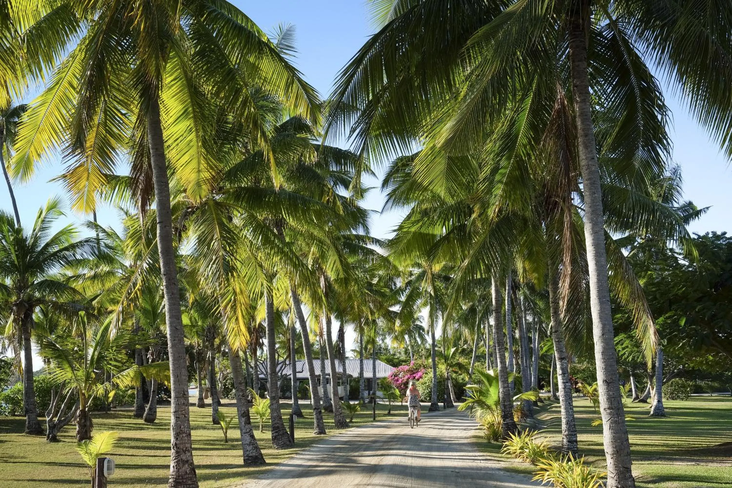 Facade/entrance in Musket Cove Island Resort