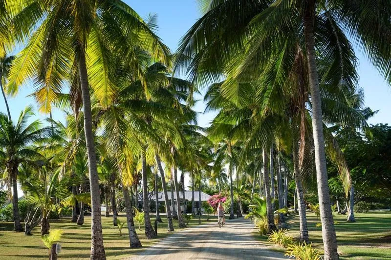 Musket Cove Island Resort