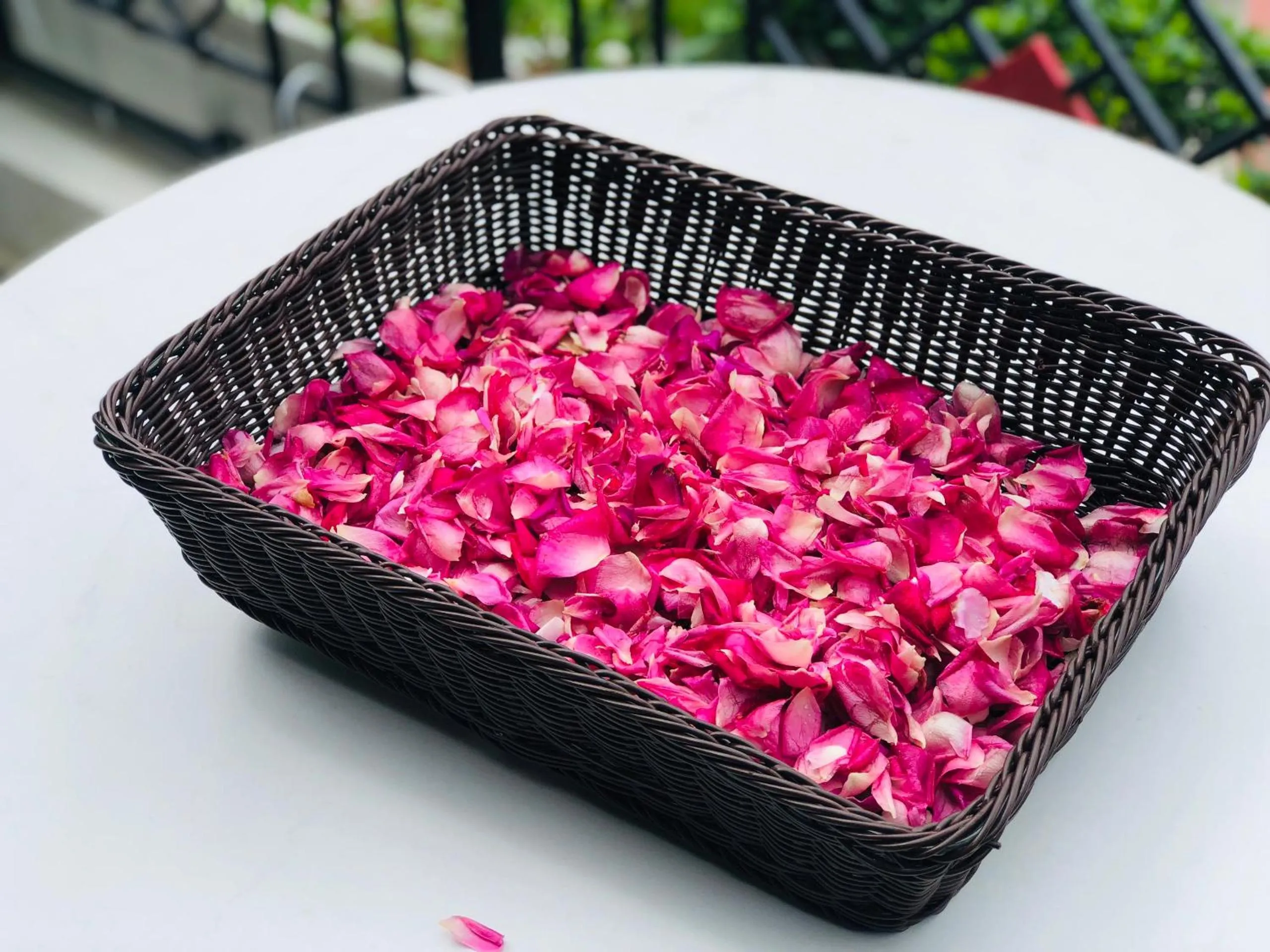 Cat Cat Galerie d’Art