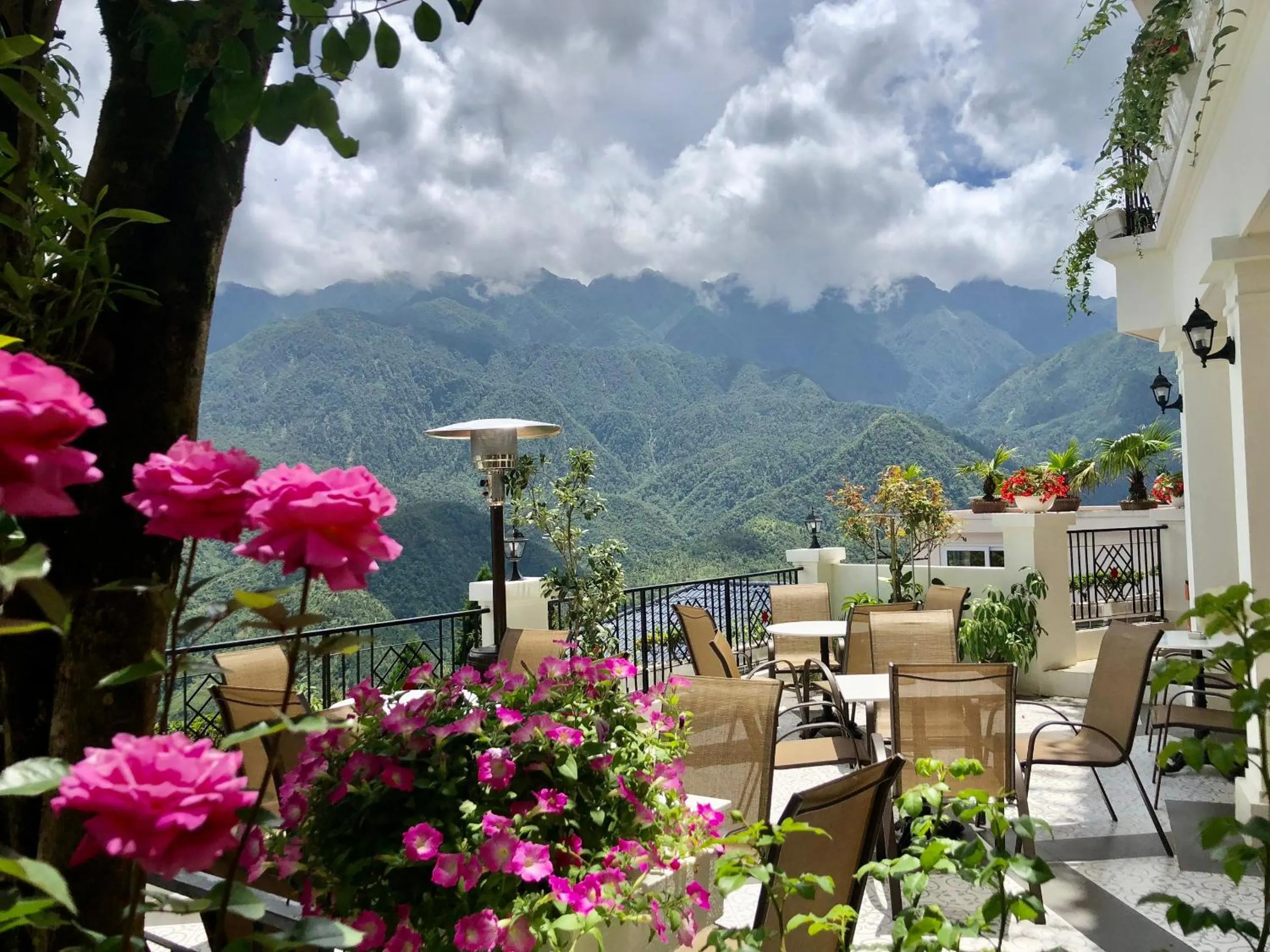 Cat Cat Galerie d’Art