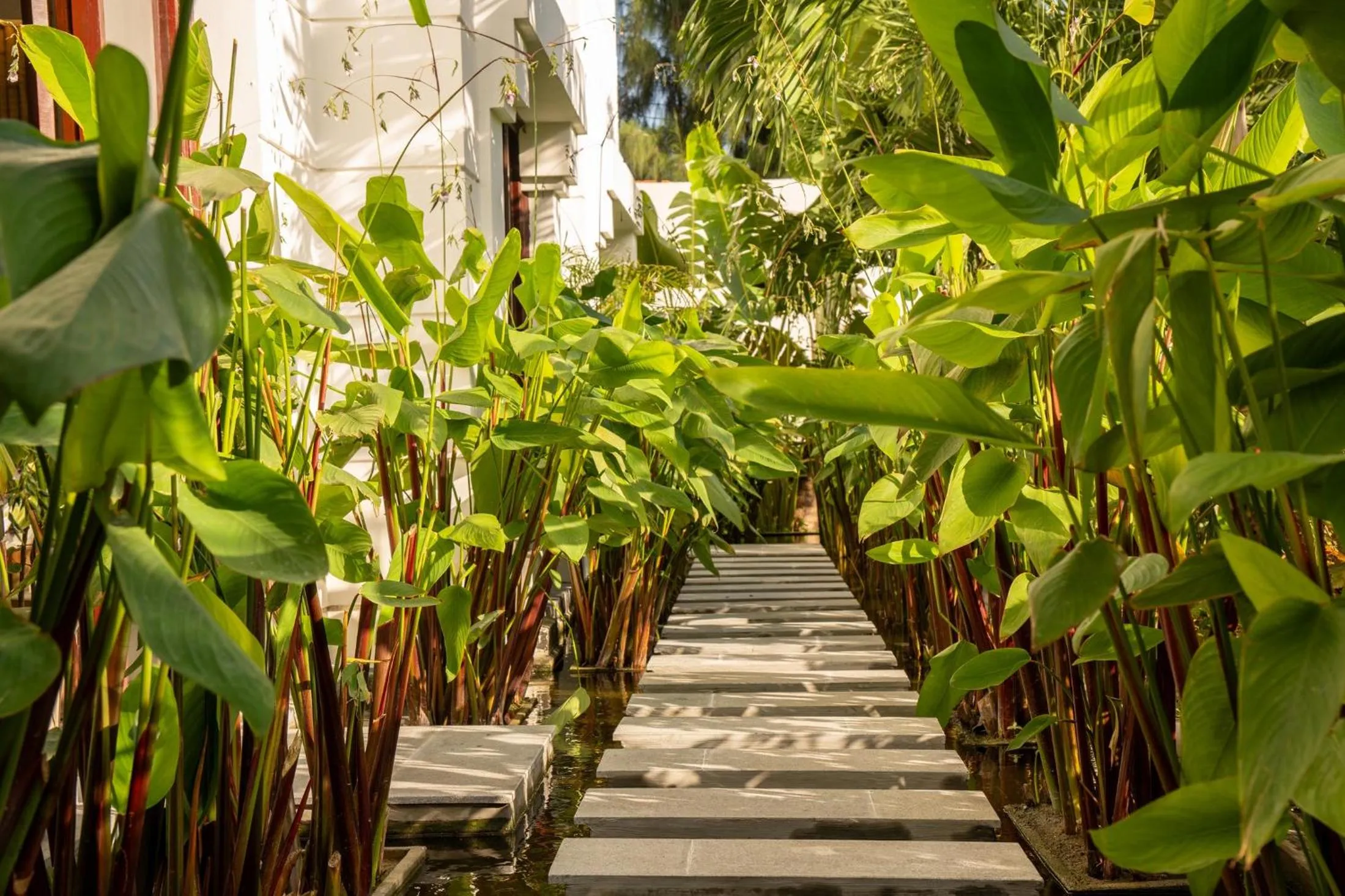 Spa and wellness centre/facilities in Pax Ana Doc Let Resort & Spa